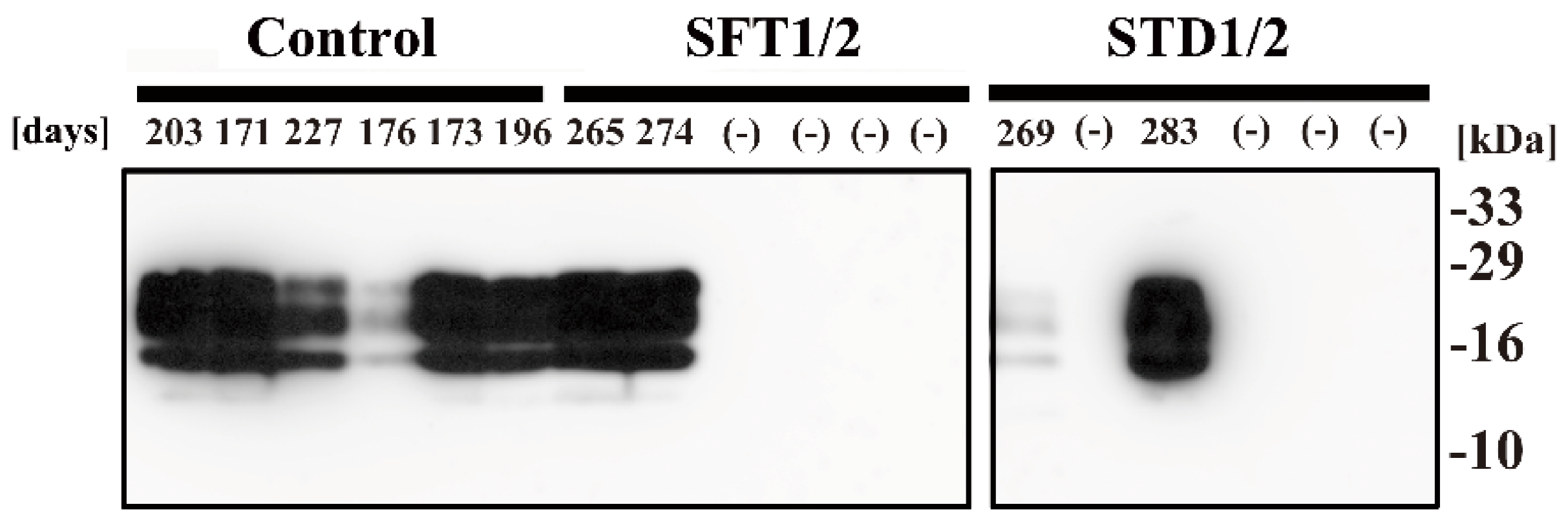 Pathogens 09 00947 g004