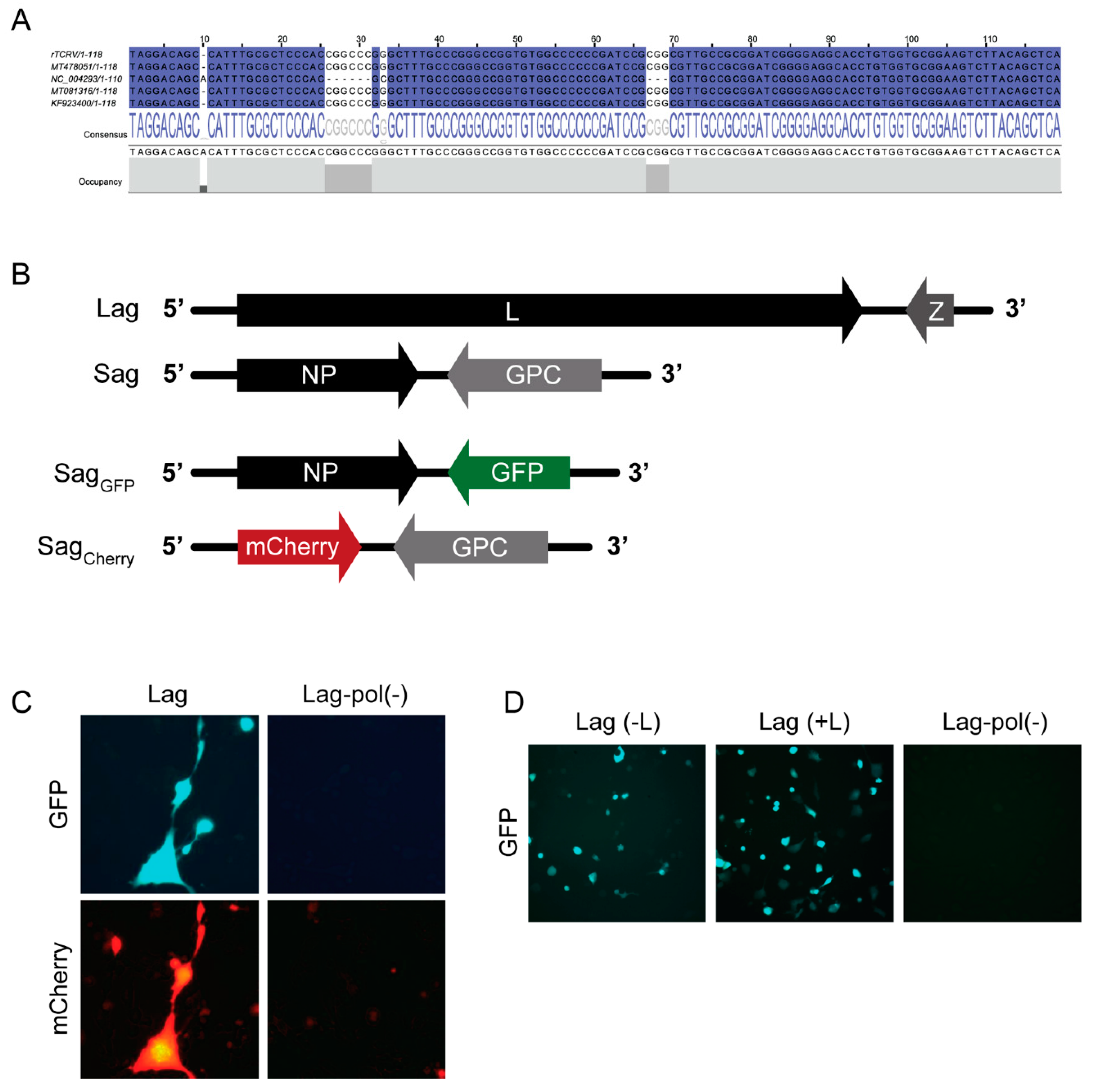Pathogens 09 00948 g001