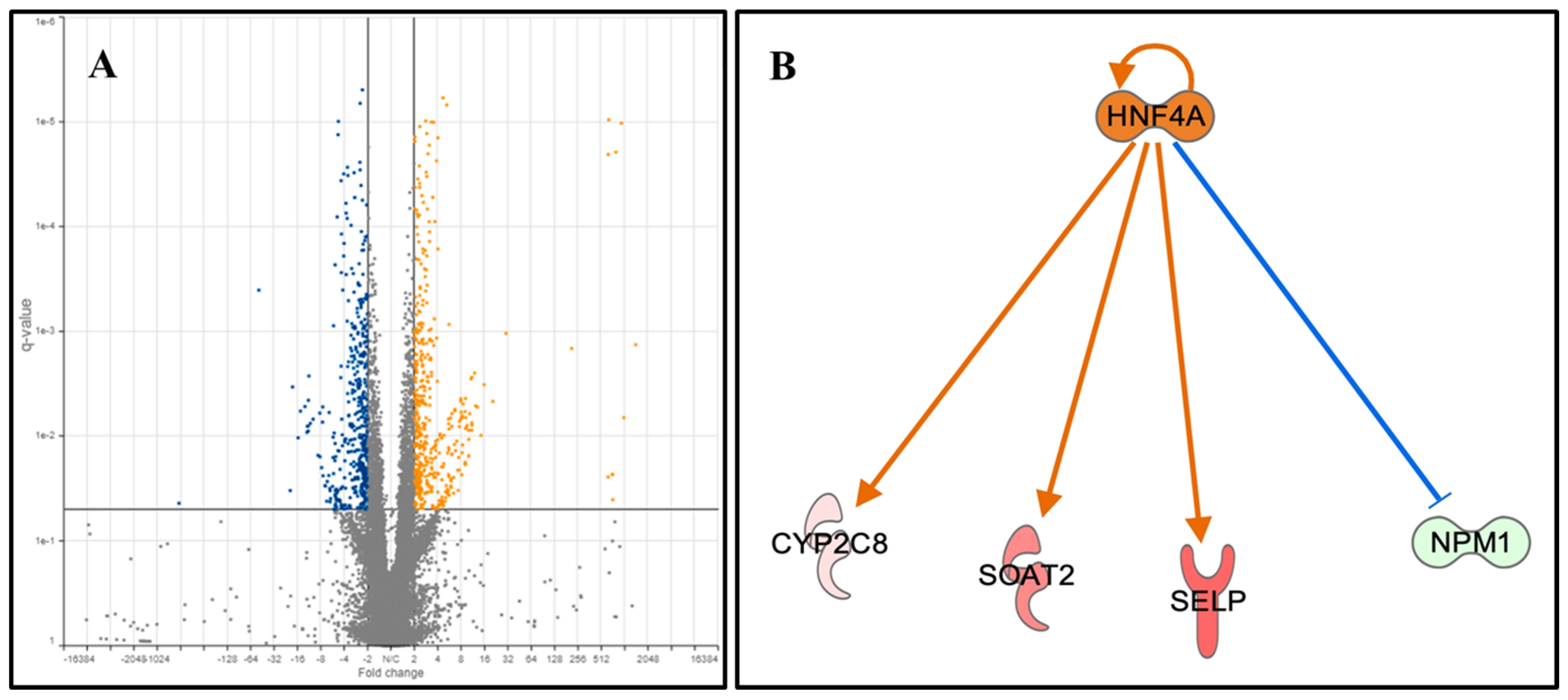Pathogens 09 00952 g002