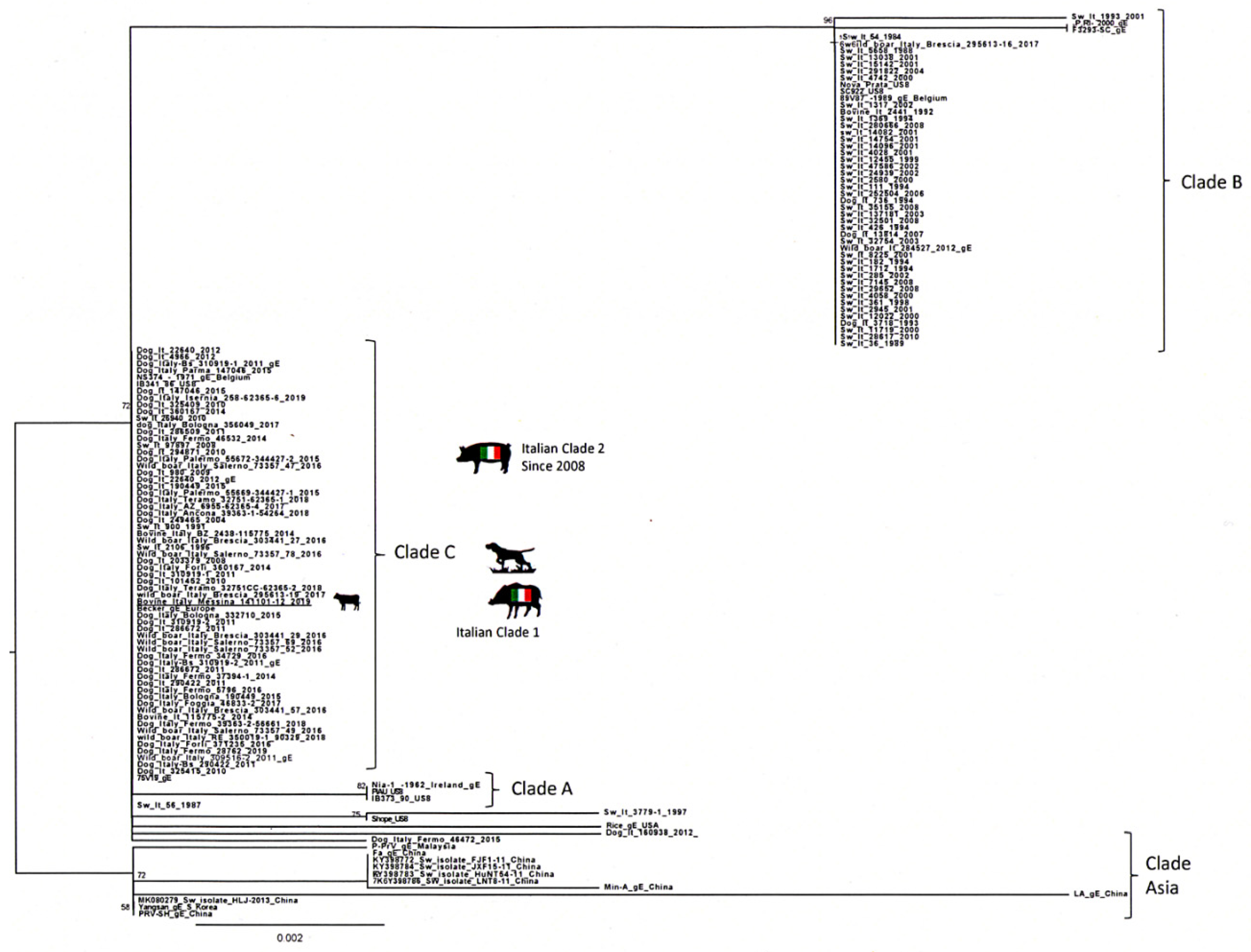 Pathogens 09 00954 g008 Pathogens 09 00954 g008