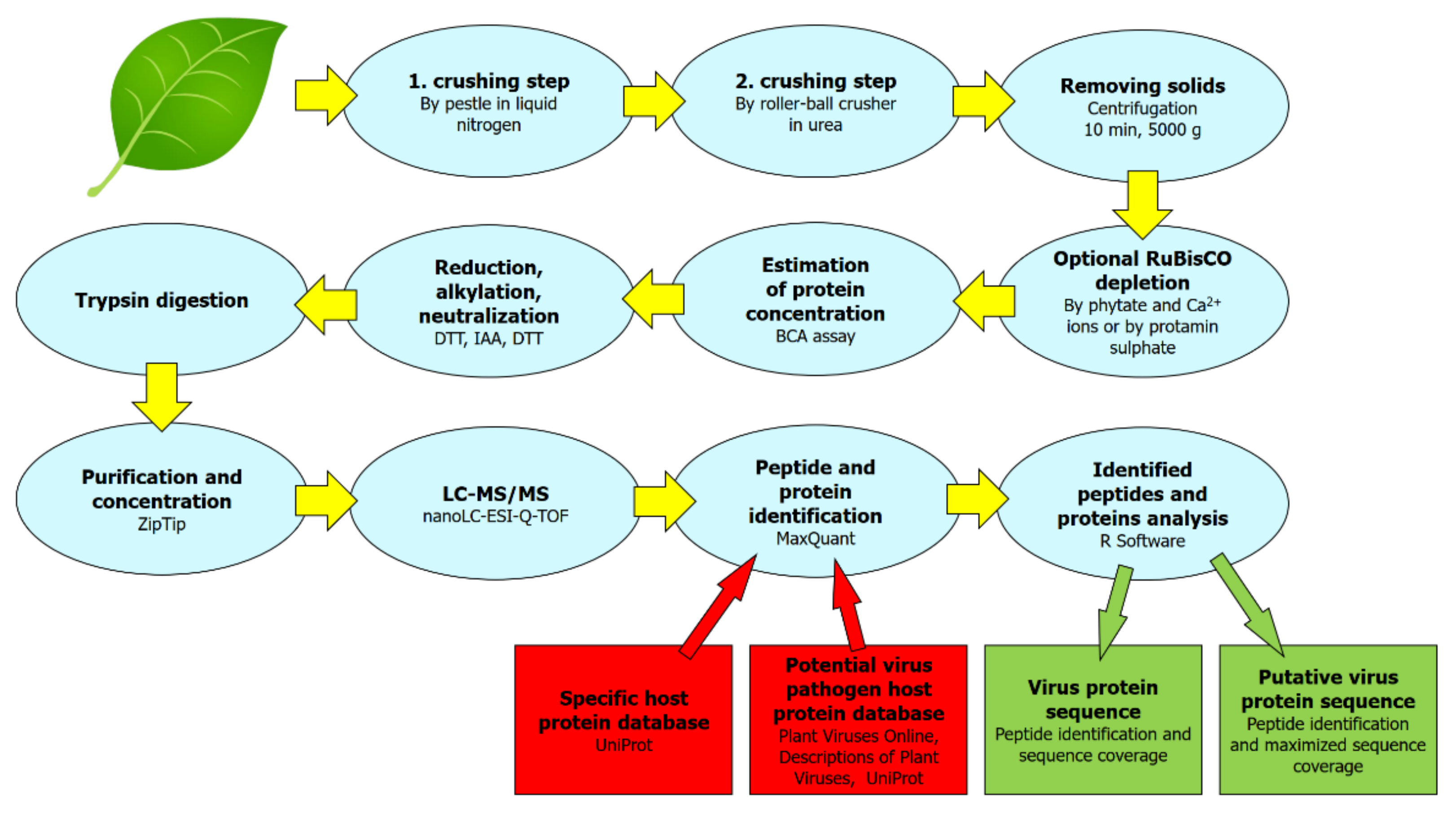 Pathogens 09 00966 g001