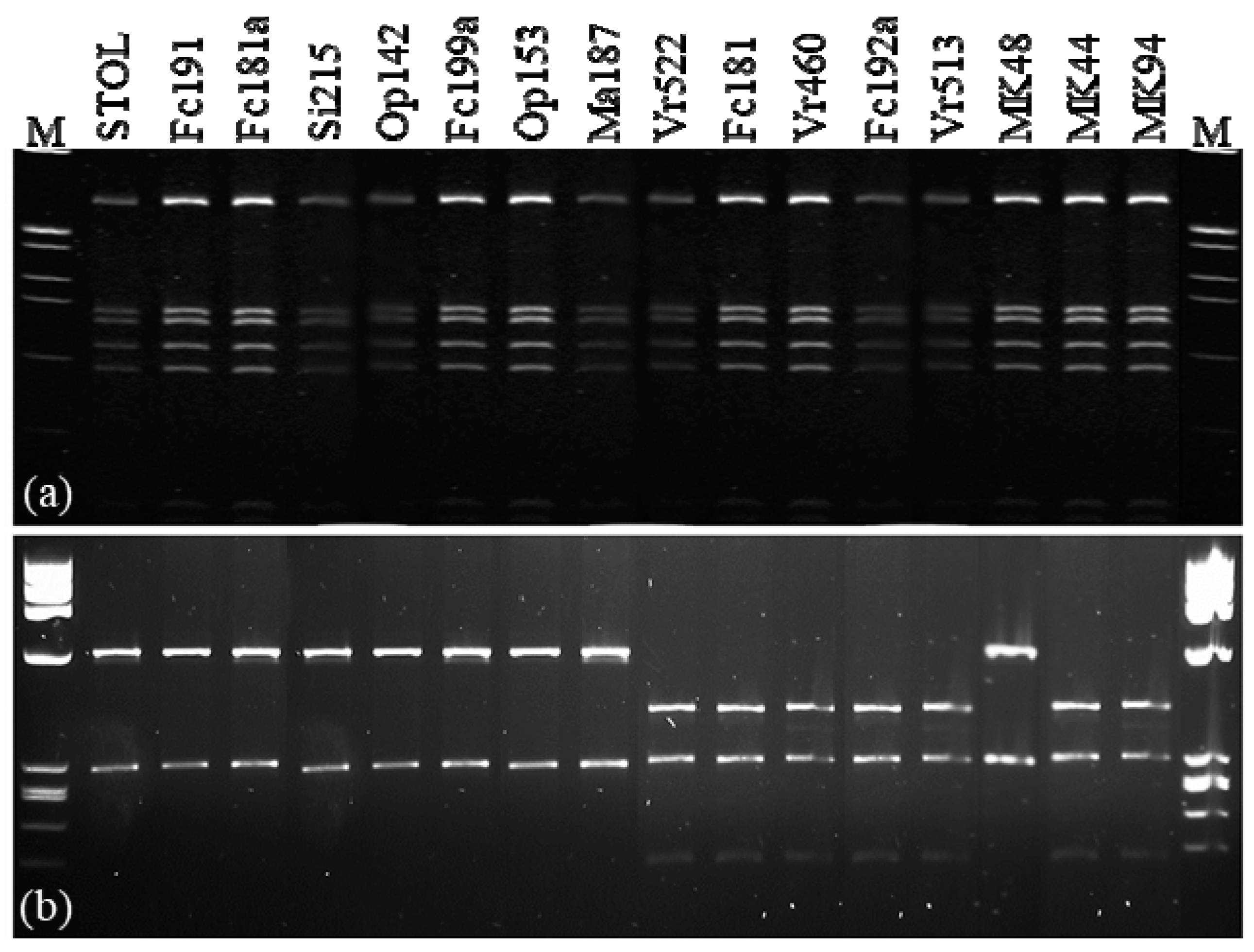 Pathogens 09 00970 g001 Pathogens 09 00970 g001