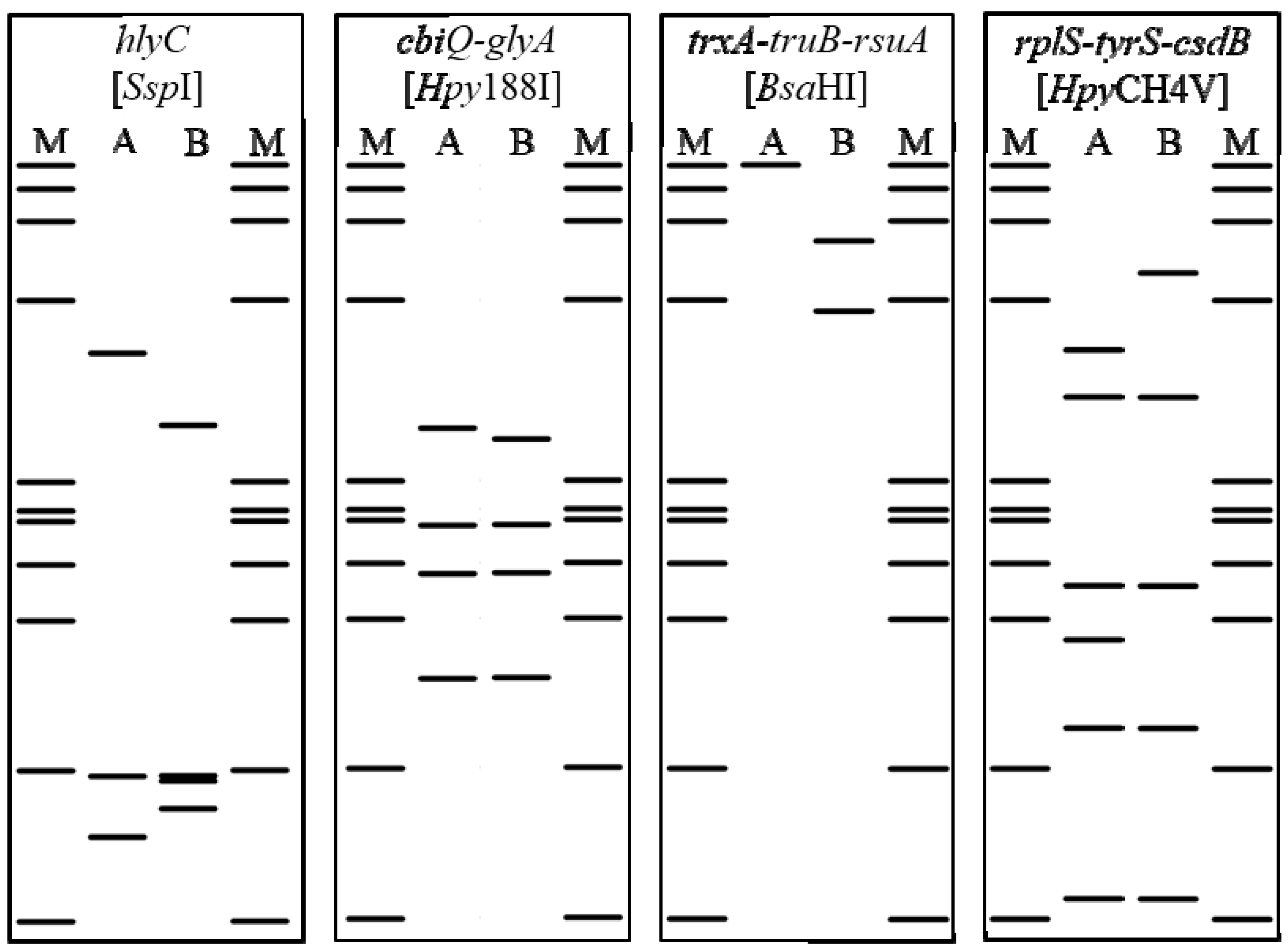 Pathogens 09 00970 g004 Pathogens 09 00970 g004