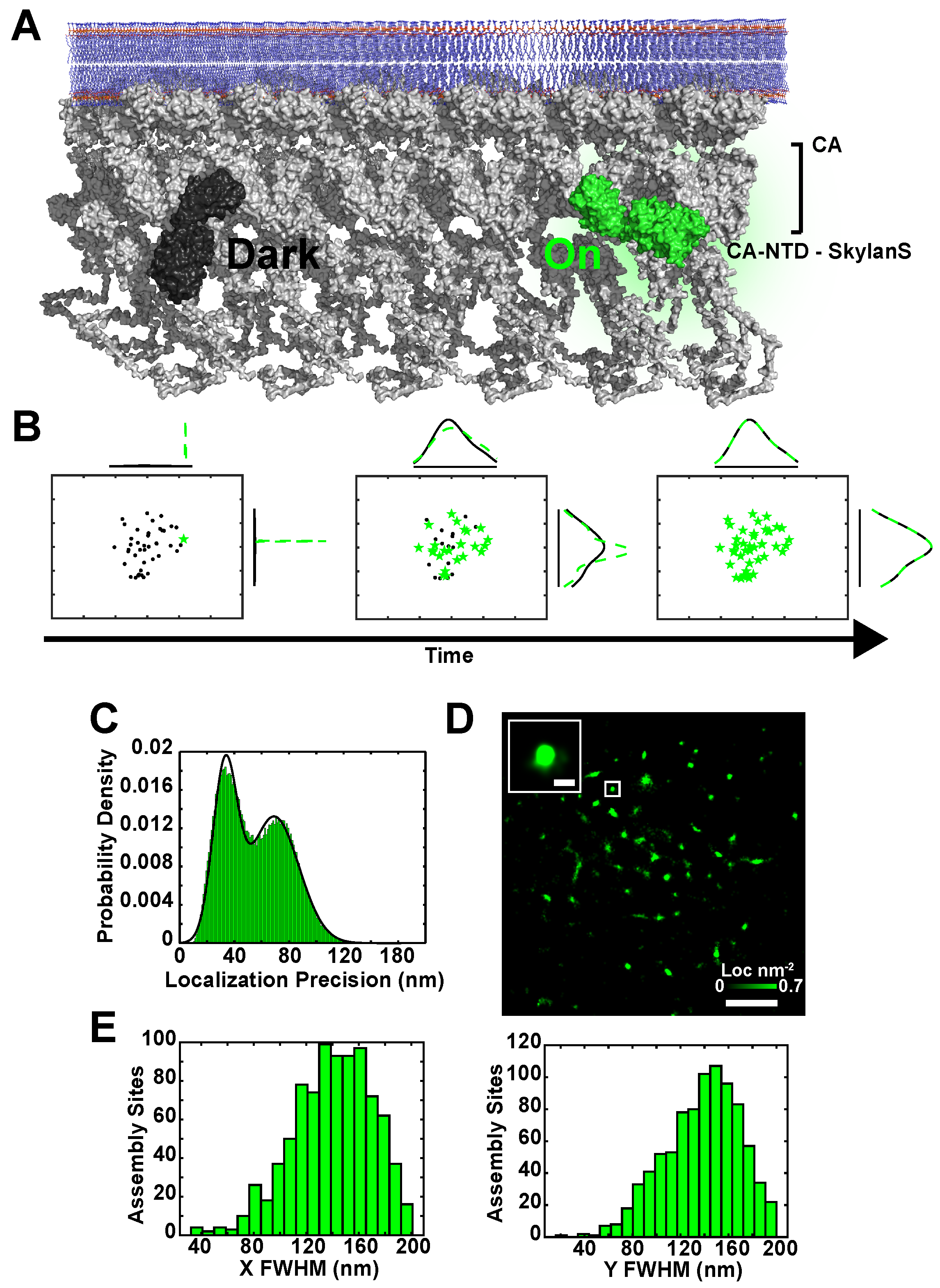 Pathogens 09 00972 g001