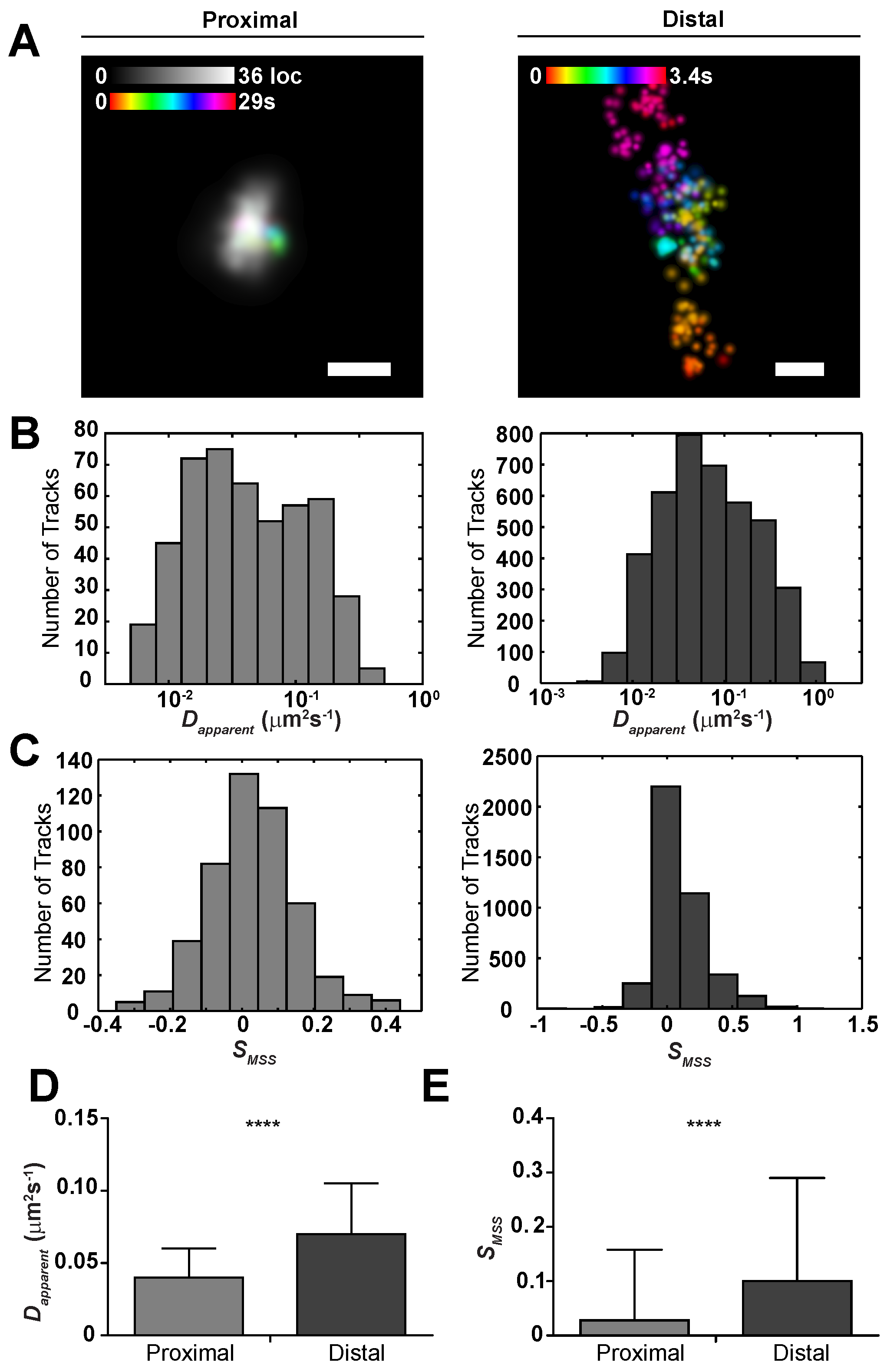 Pathogens 09 00972 g004
