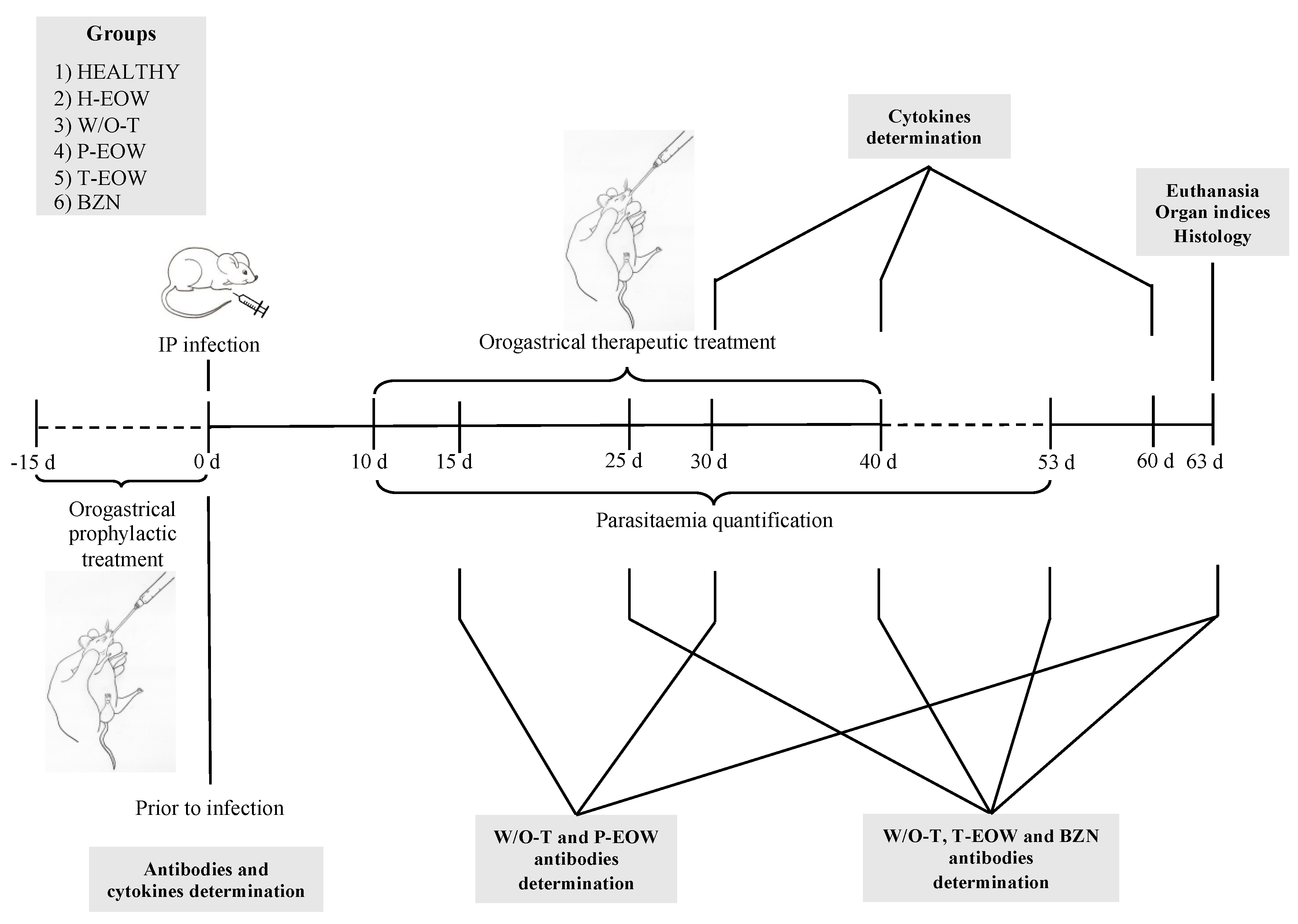 Pathogens 09 00974 g001