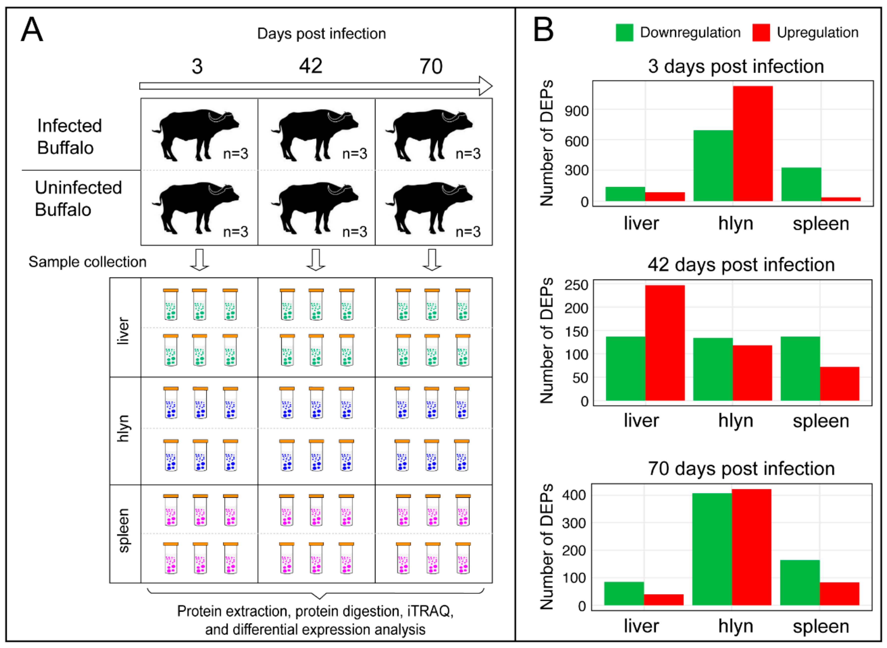 Pathogens 09 00982 g001