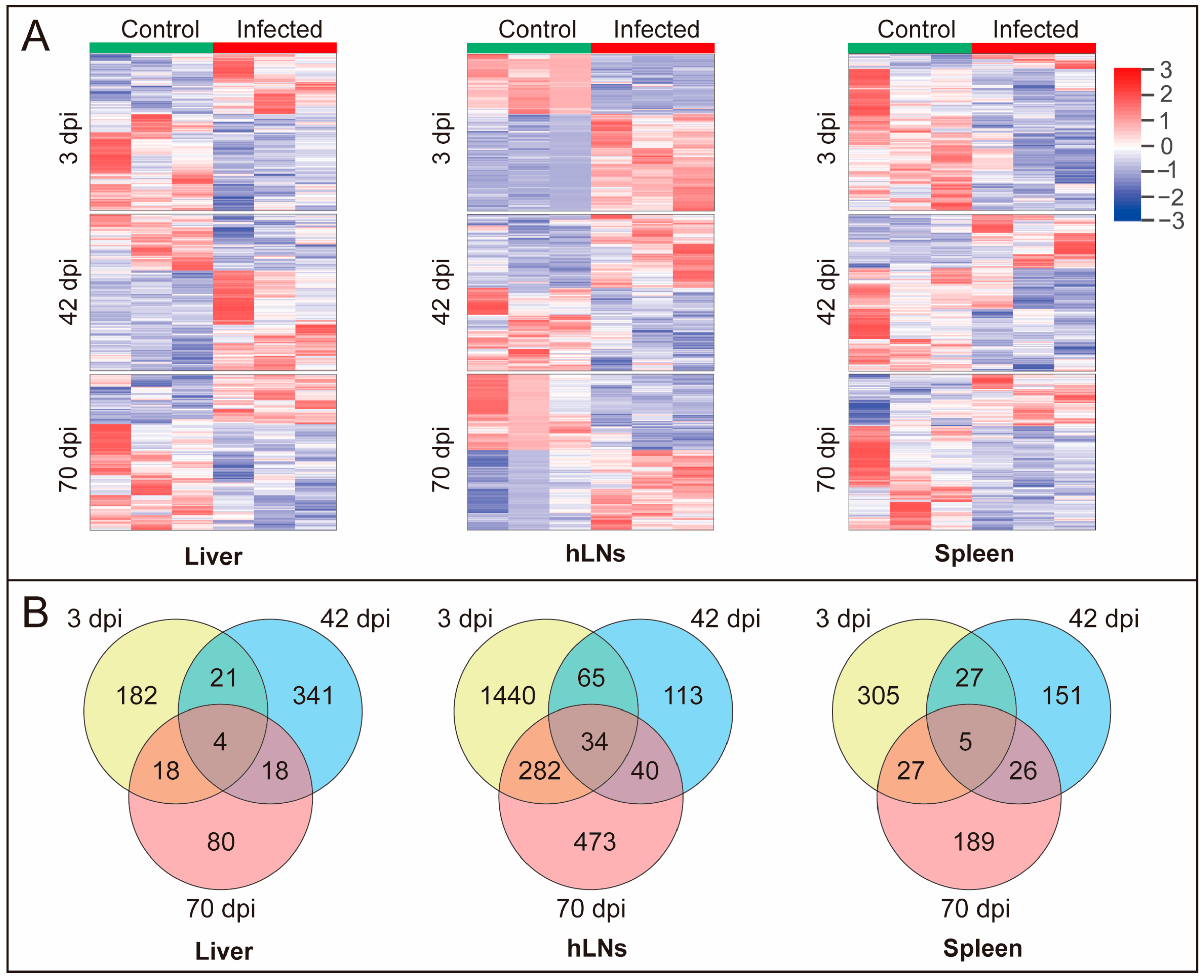 Pathogens 09 00982 g002