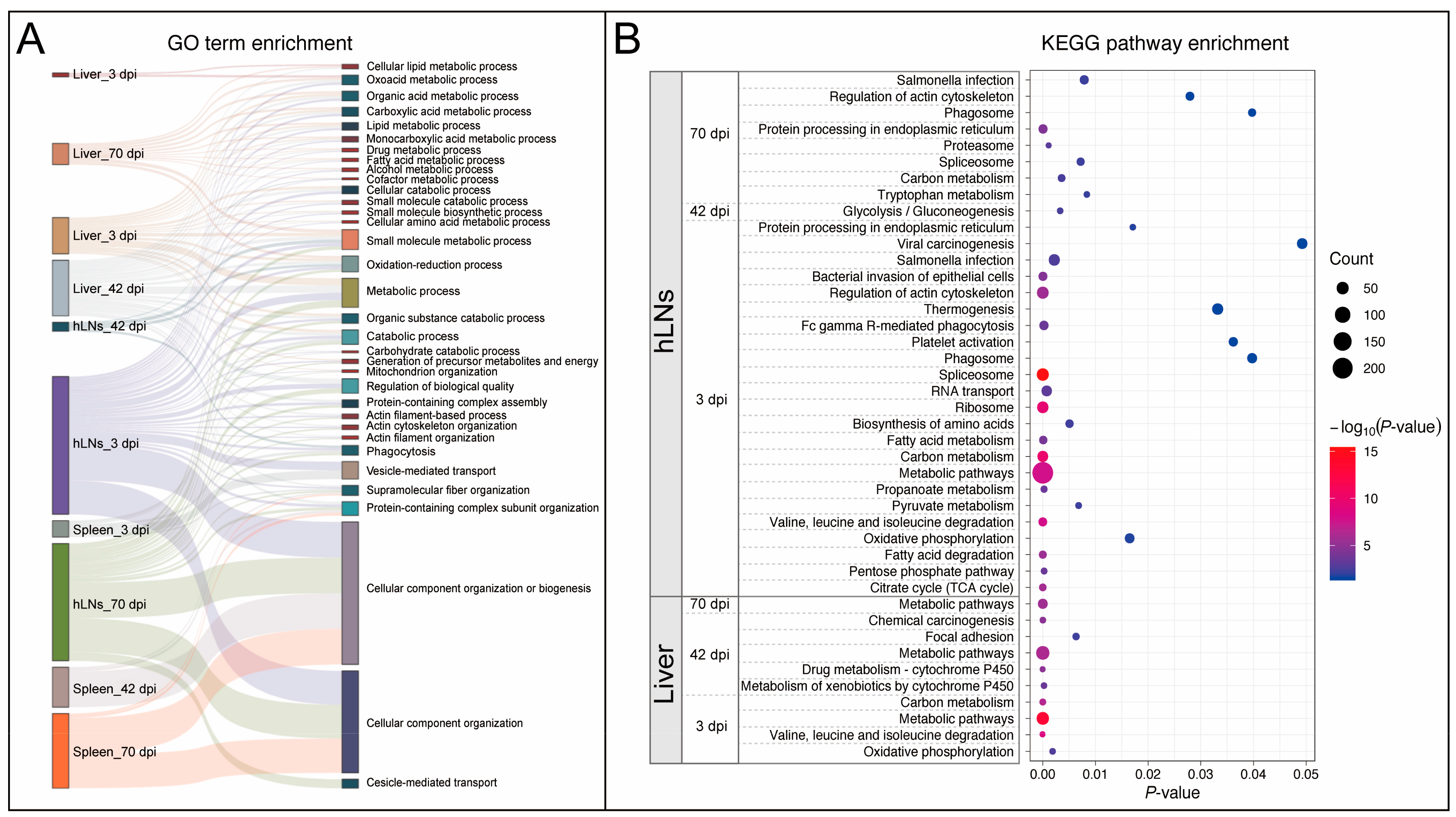 Pathogens 09 00982 g003