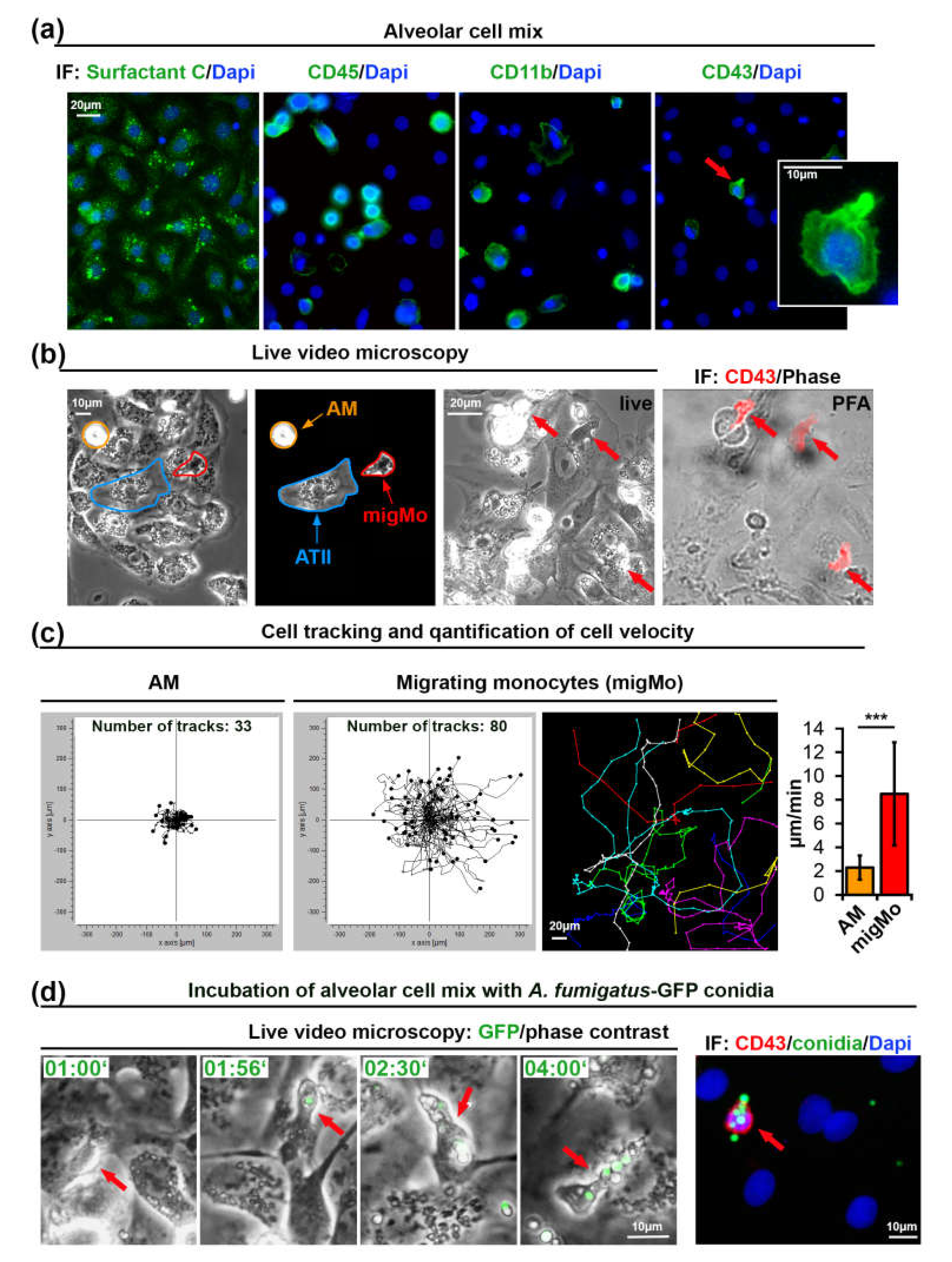Pathogens 09 00983 g001