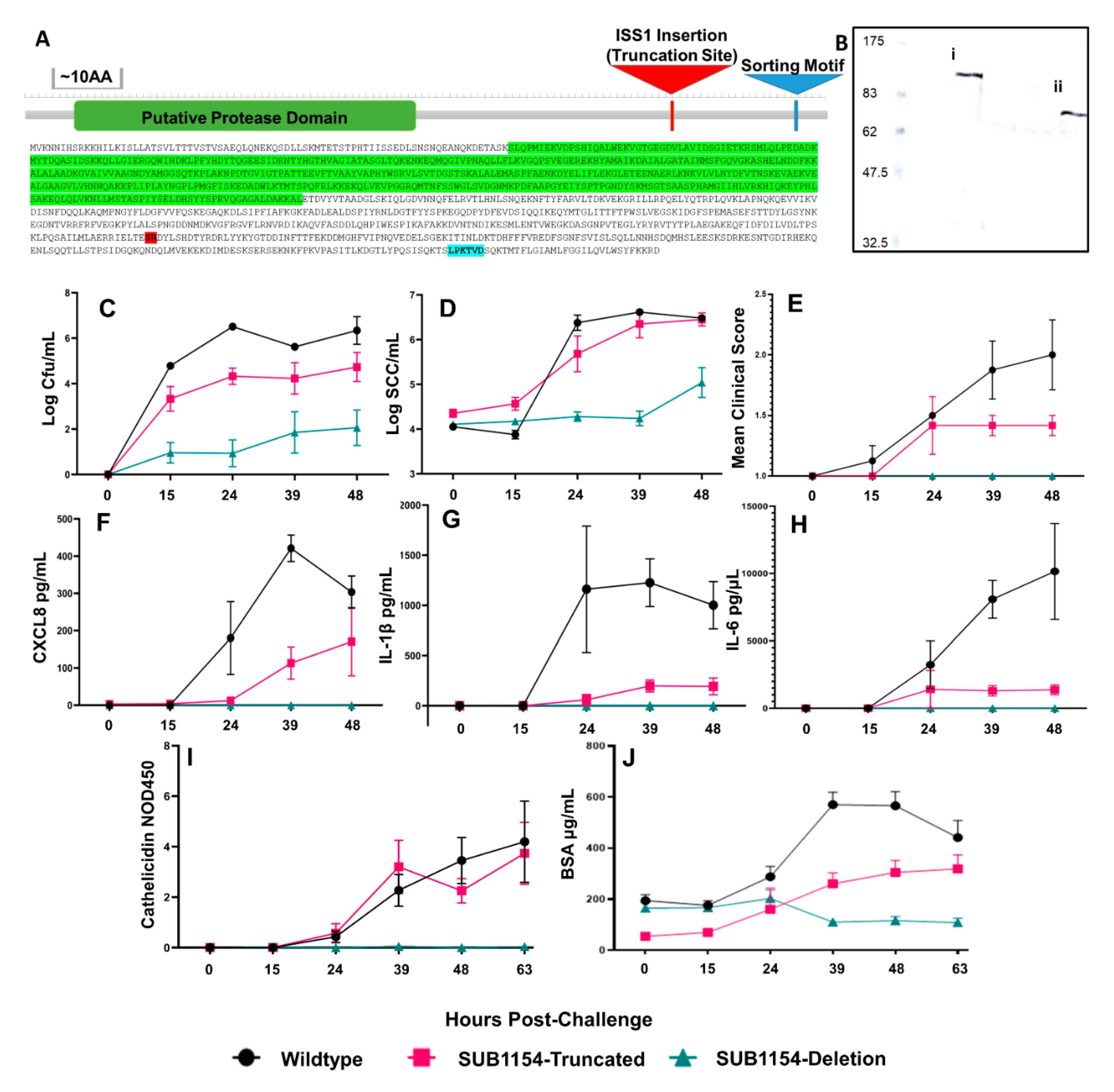 Pathogens 09 00997 g001 Pathogens 09 00997 g001