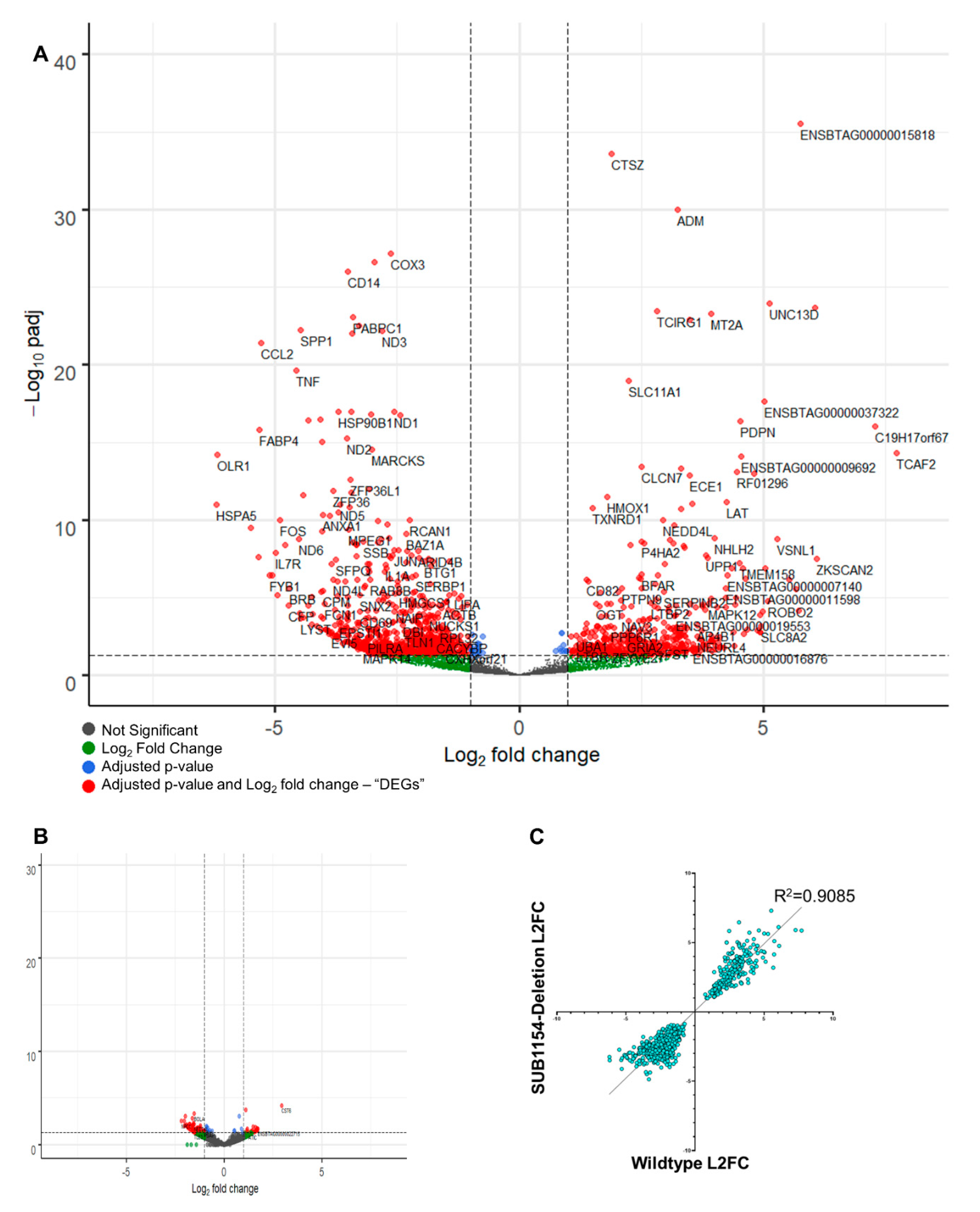 Pathogens 09 00997 g003 Pathogens 09 00997 g003