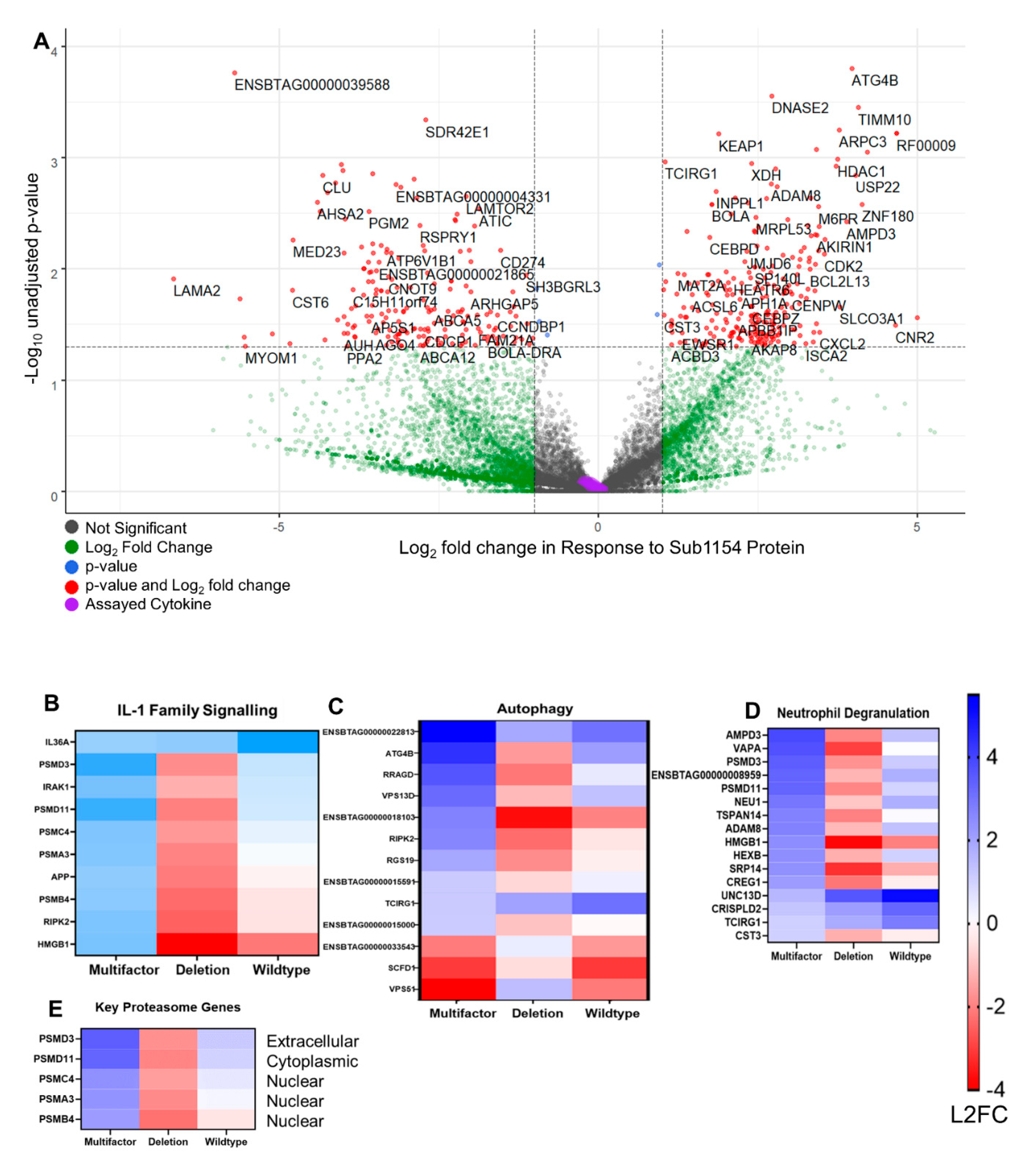 Pathogens 09 00997 g005 Pathogens 09 00997 g005