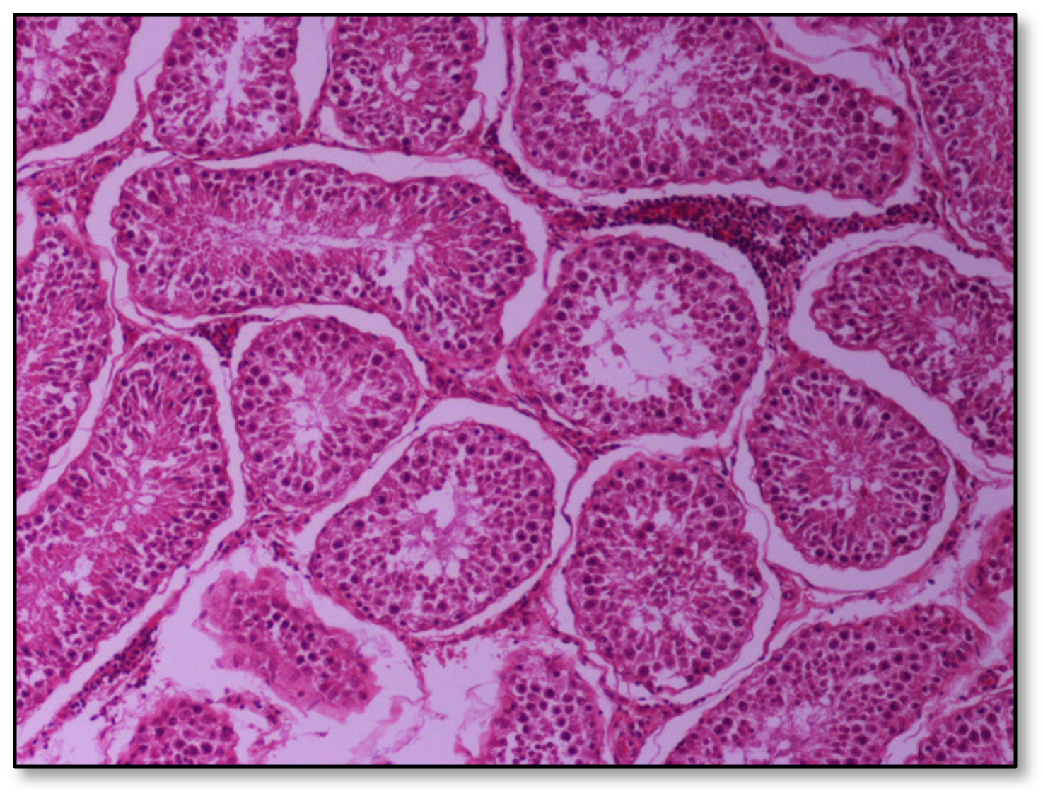 Pathogens 09 01004 g002