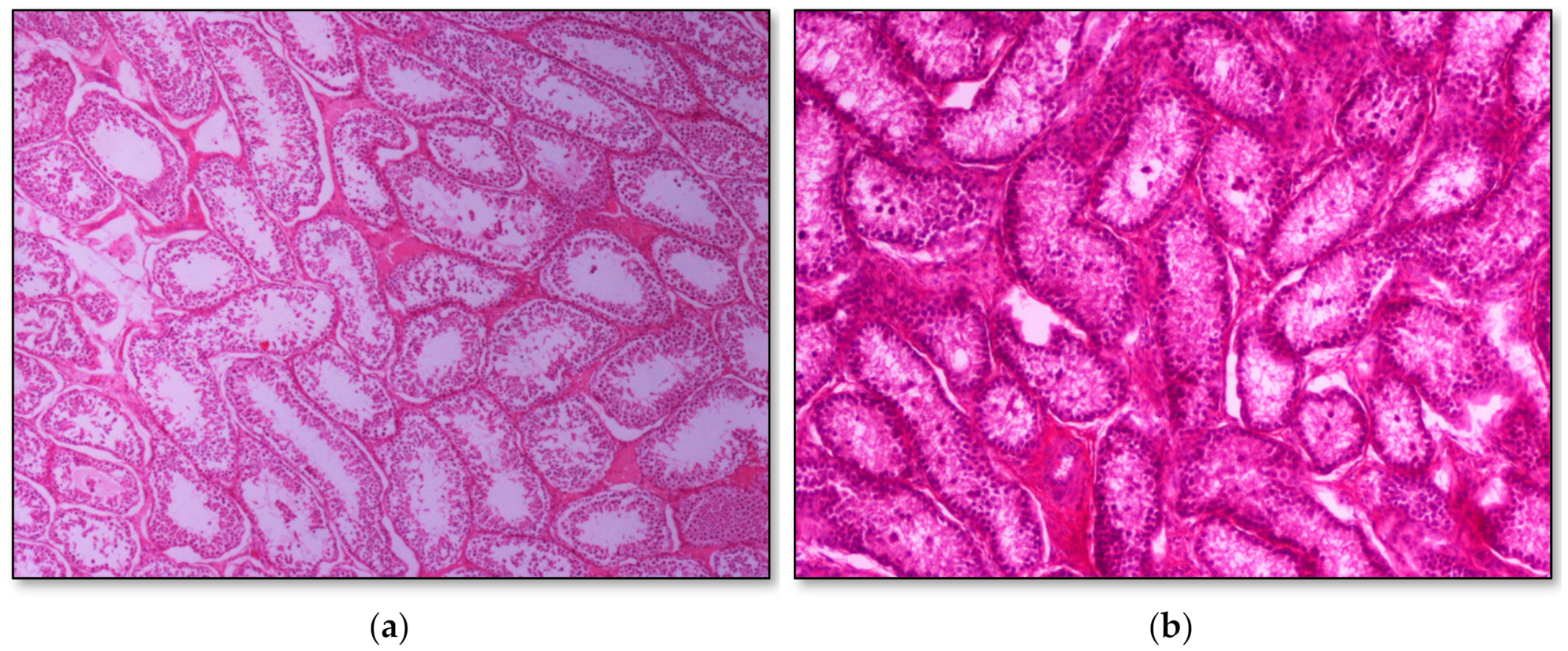 Pathogens 09 01004 g003