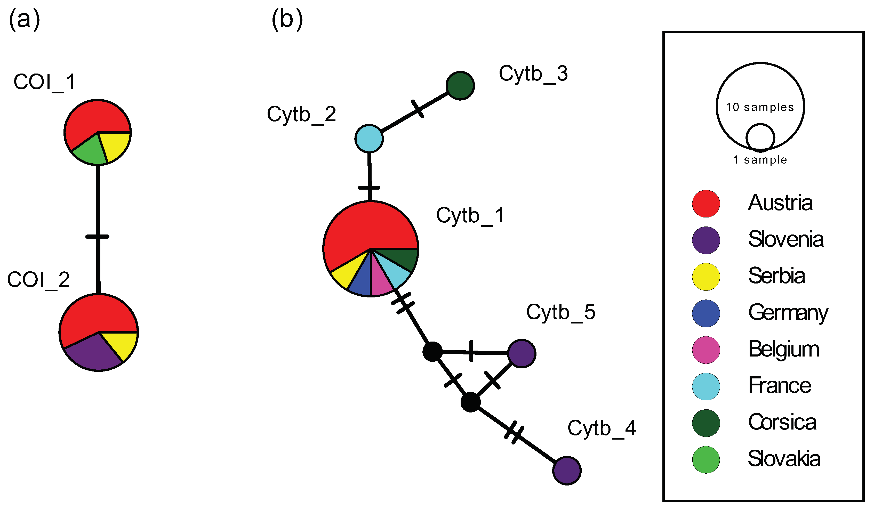 Pathogens 09 01032 g005
