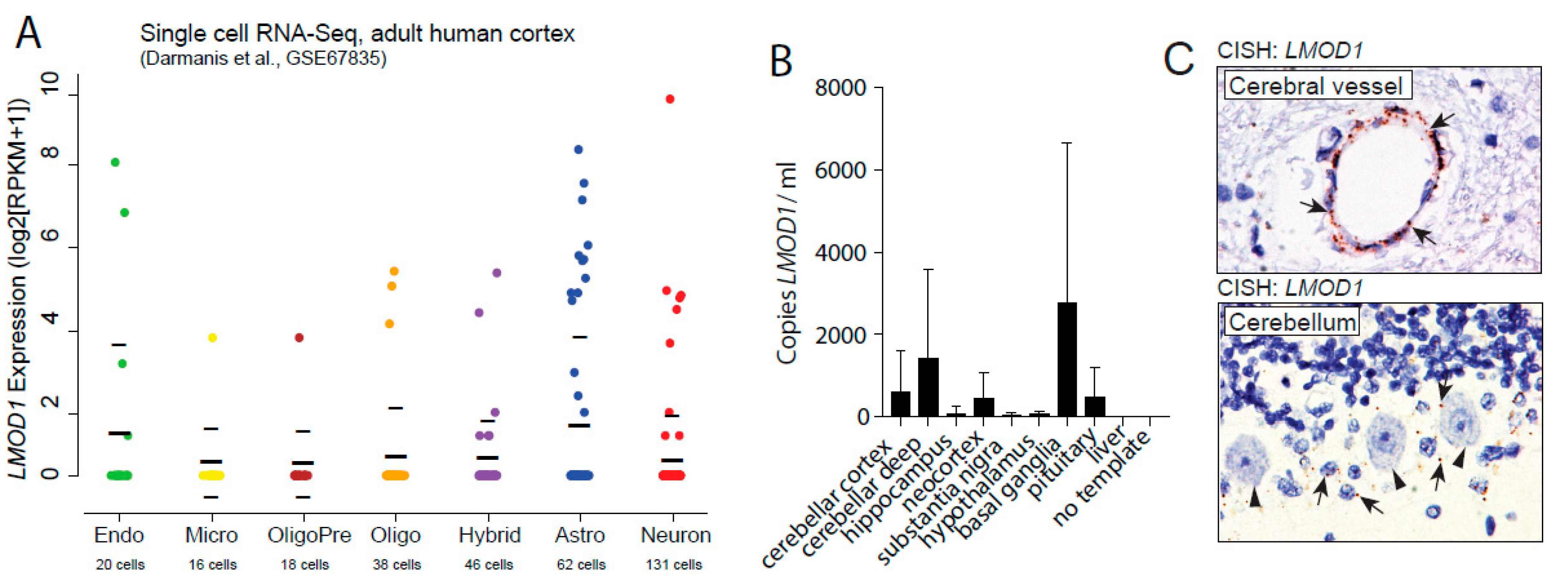 Pathogens 09 01036 g001 Pathogens 09 01036 g001