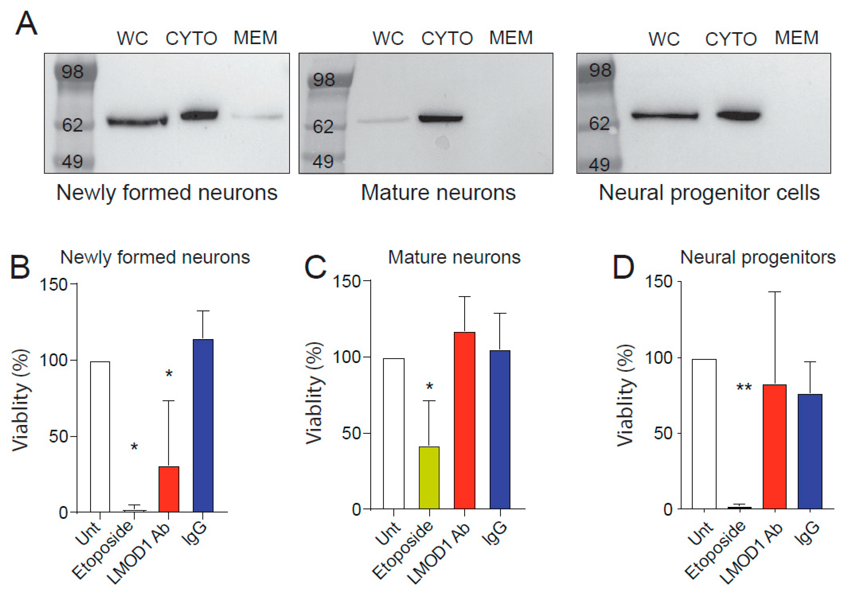 Pathogens 09 01036 g004 Pathogens 09 01036 g004