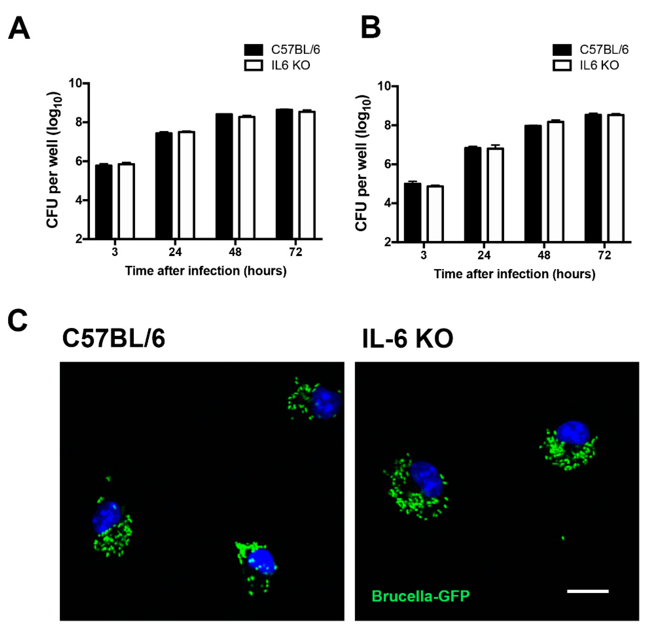 Pathogens 09 01040 g001