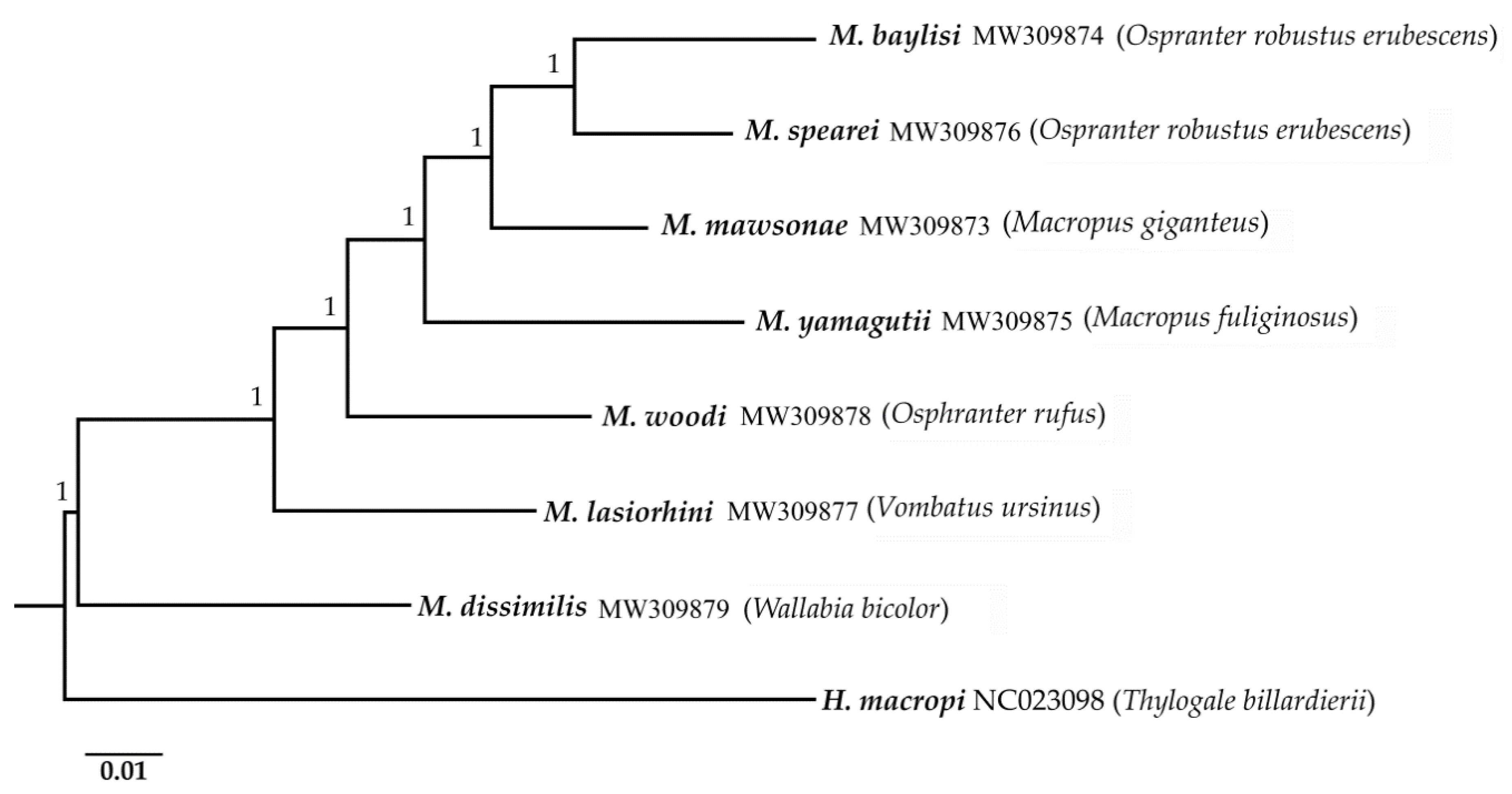 Pathogens 09 01042 g002