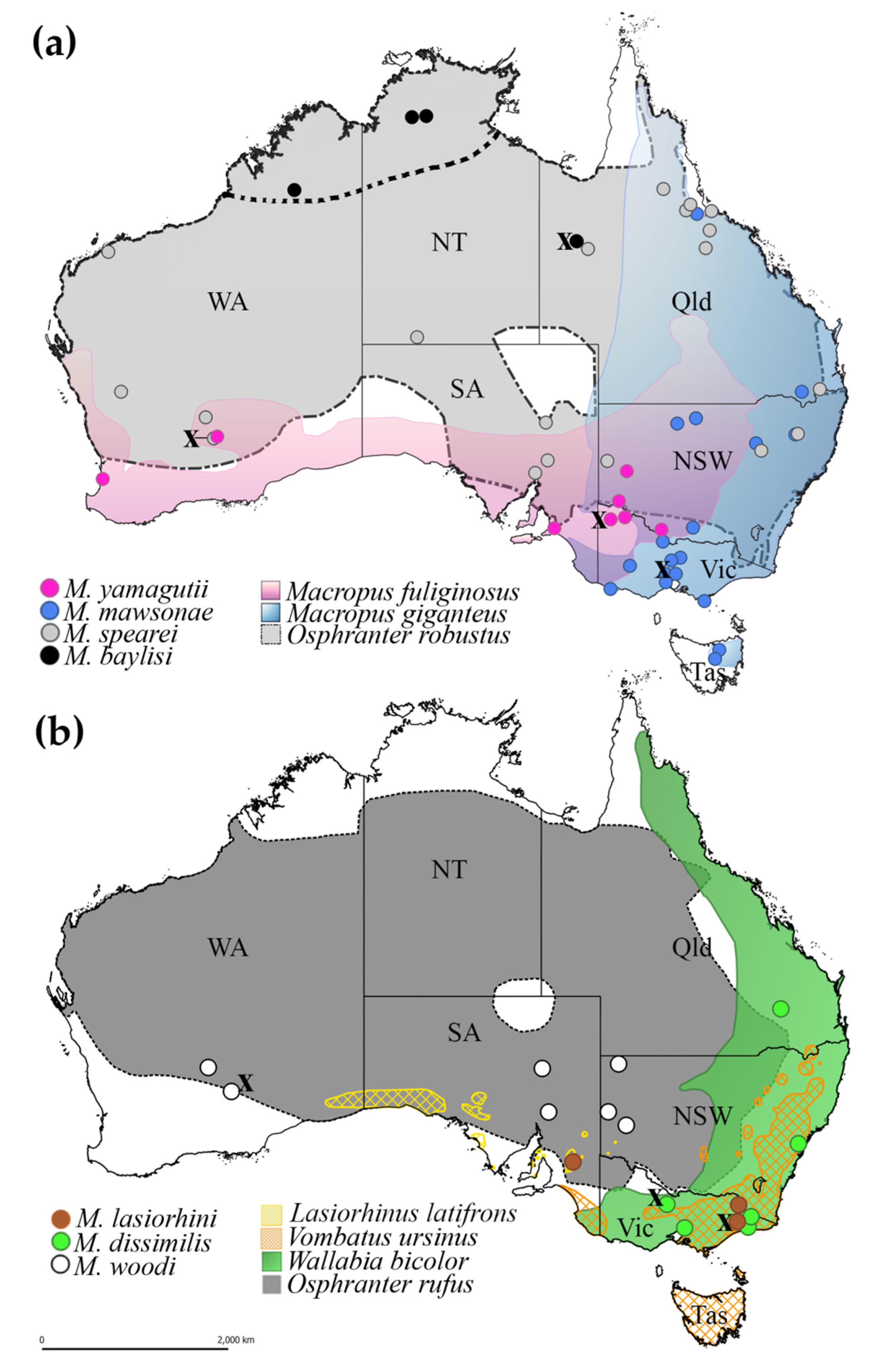 Pathogens 09 01042 g003