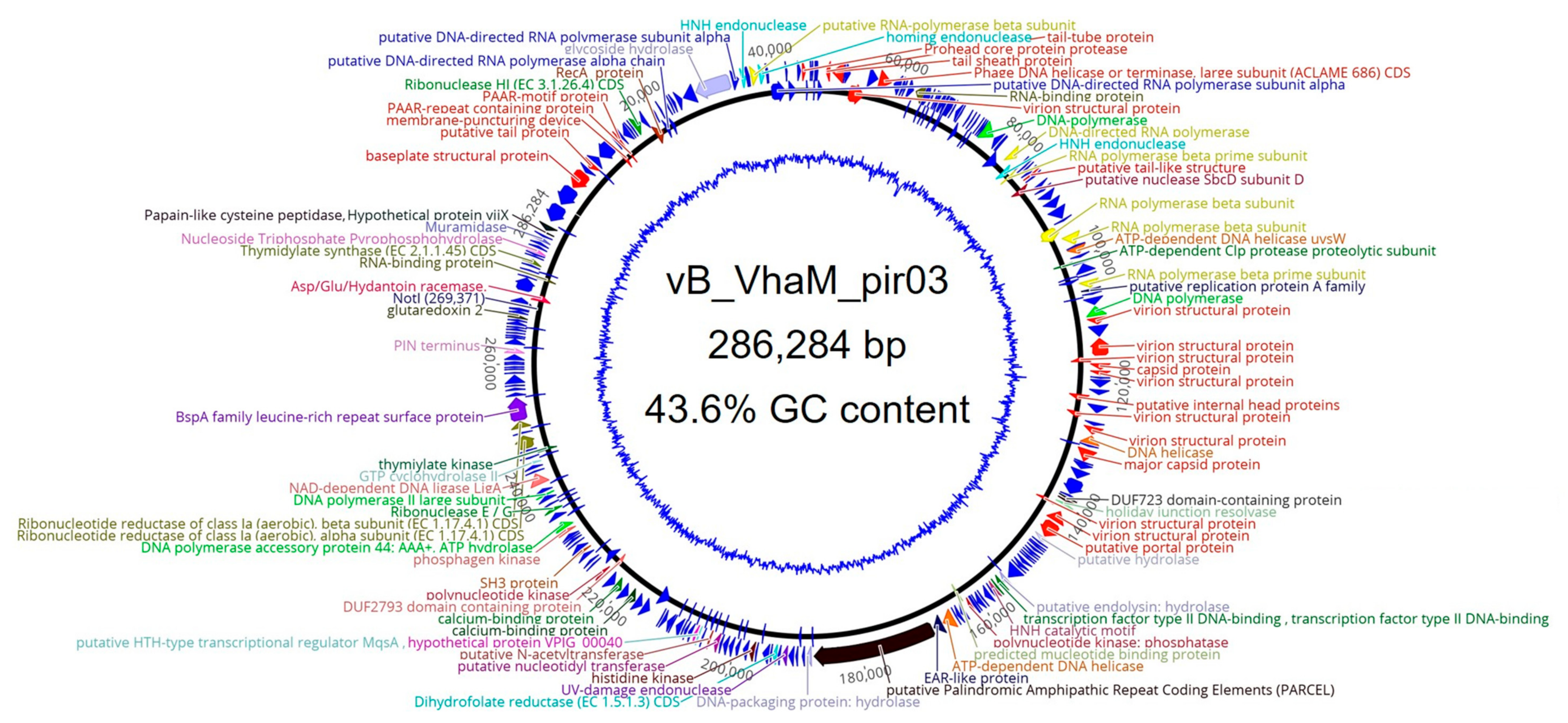 Pathogens 09 01051 g005 Pathogens 09 01051 g005