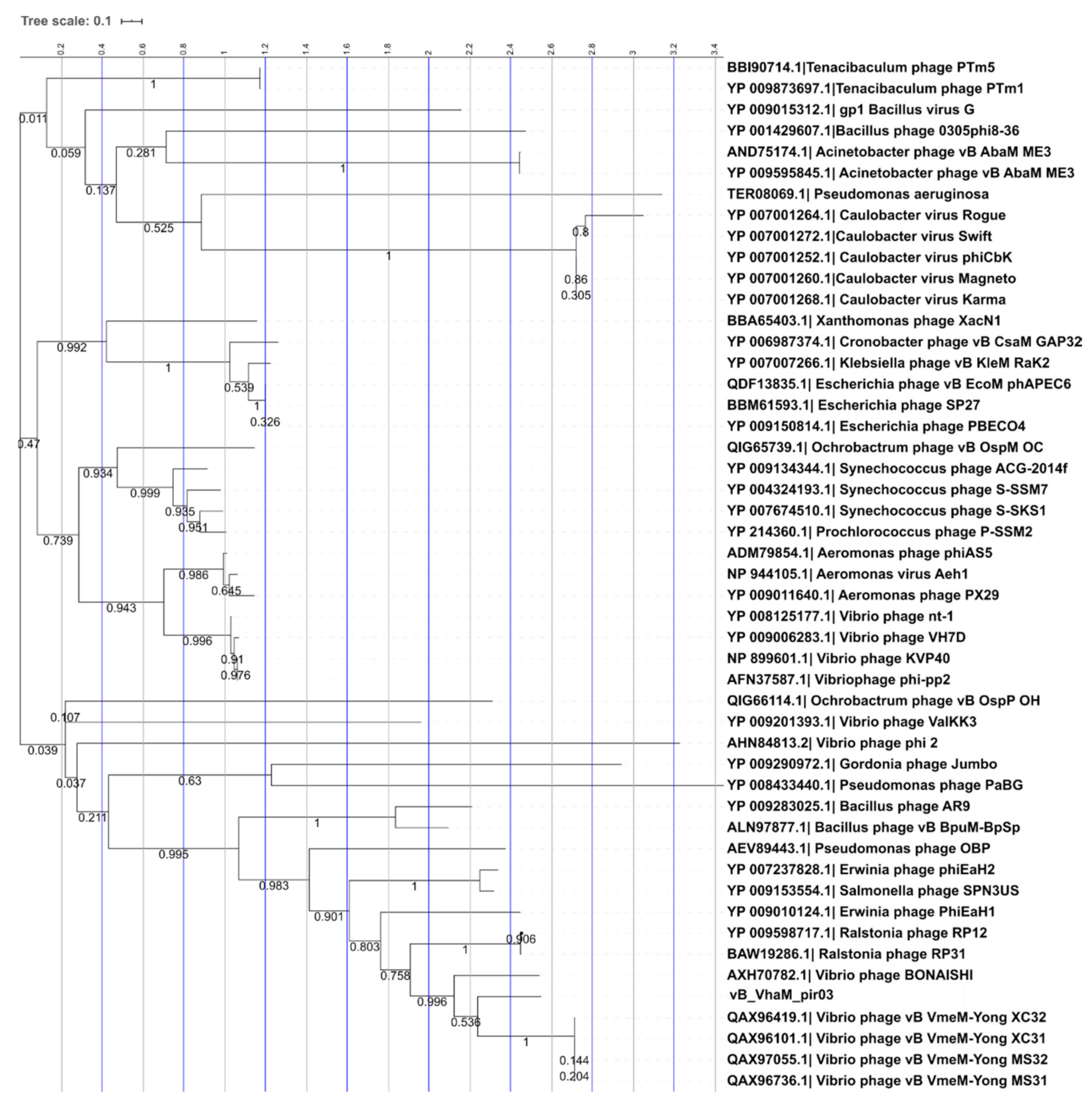 Pathogens 09 01051 g008 Pathogens 09 01051 g008