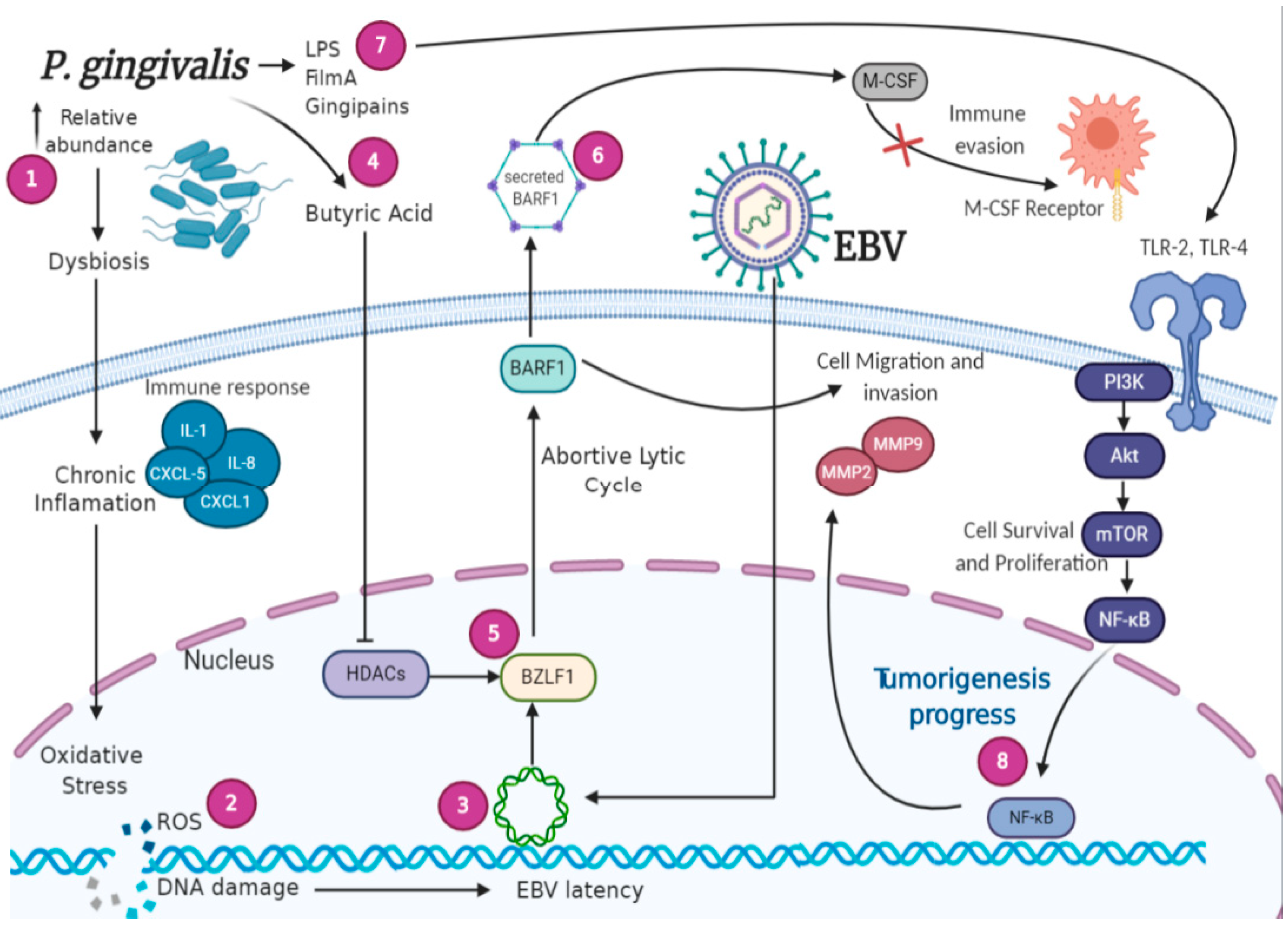 Pathogens 09 01059 g002