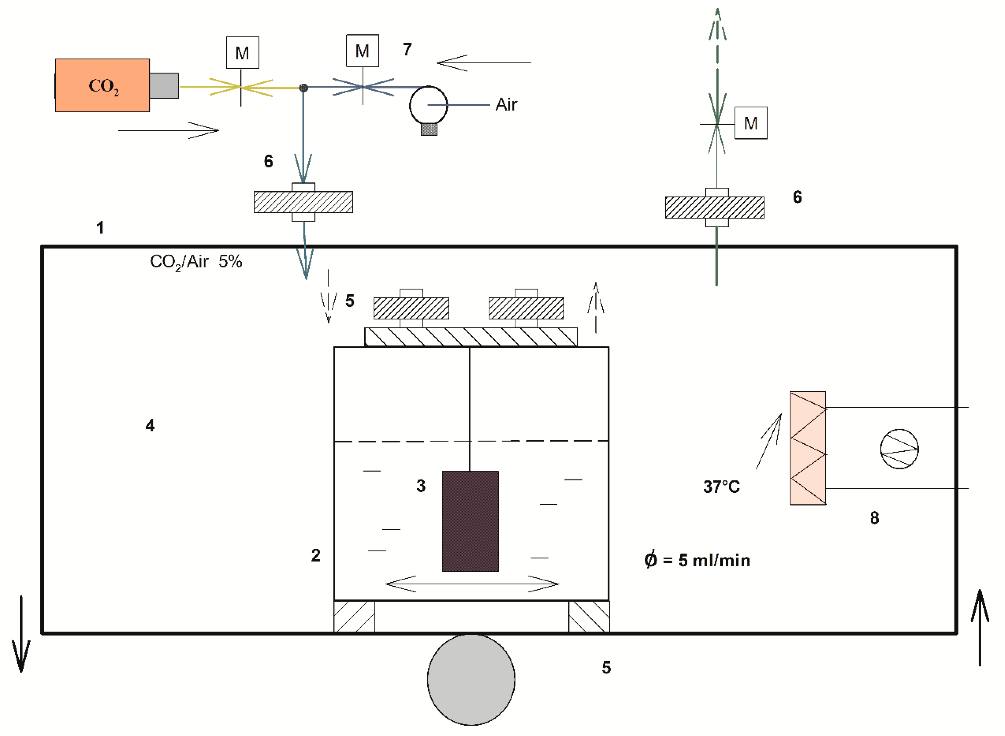 Pathogens 09 01069 g001 Pathogens 09 01069 g001