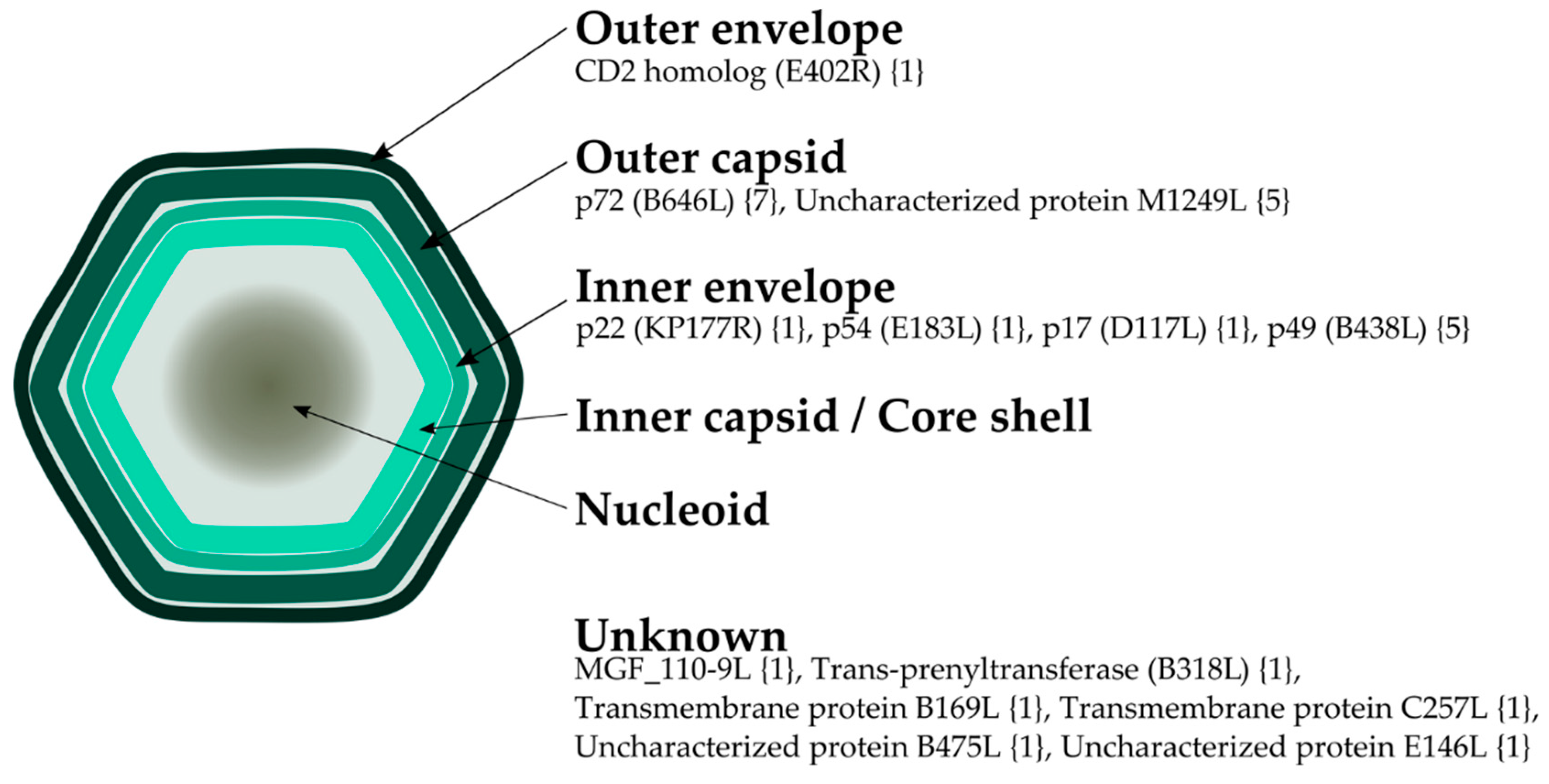 Pathogens 09 01078 g001 Pathogens 09 01078 g001