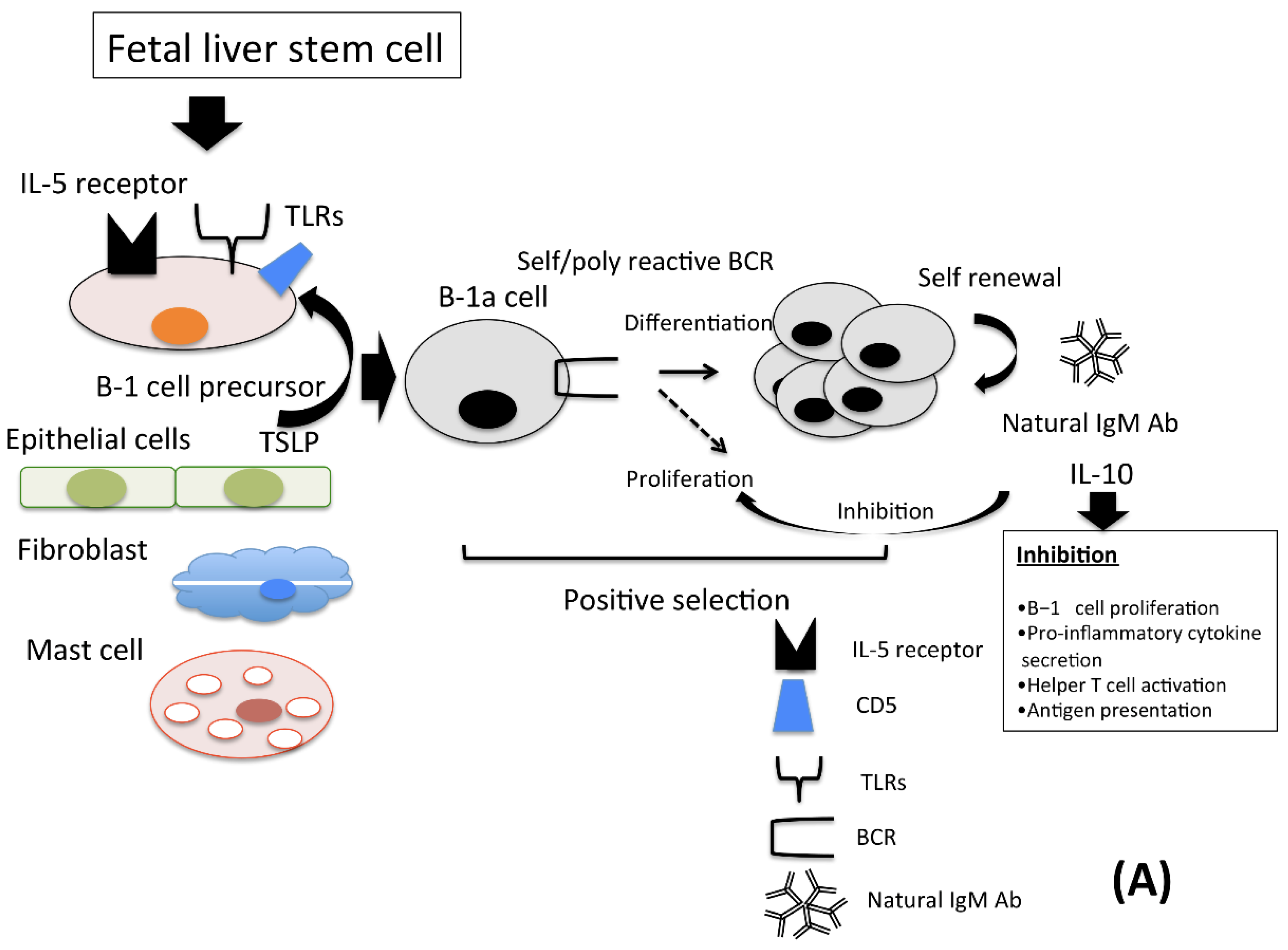 Pathogens 10 00004 g001a