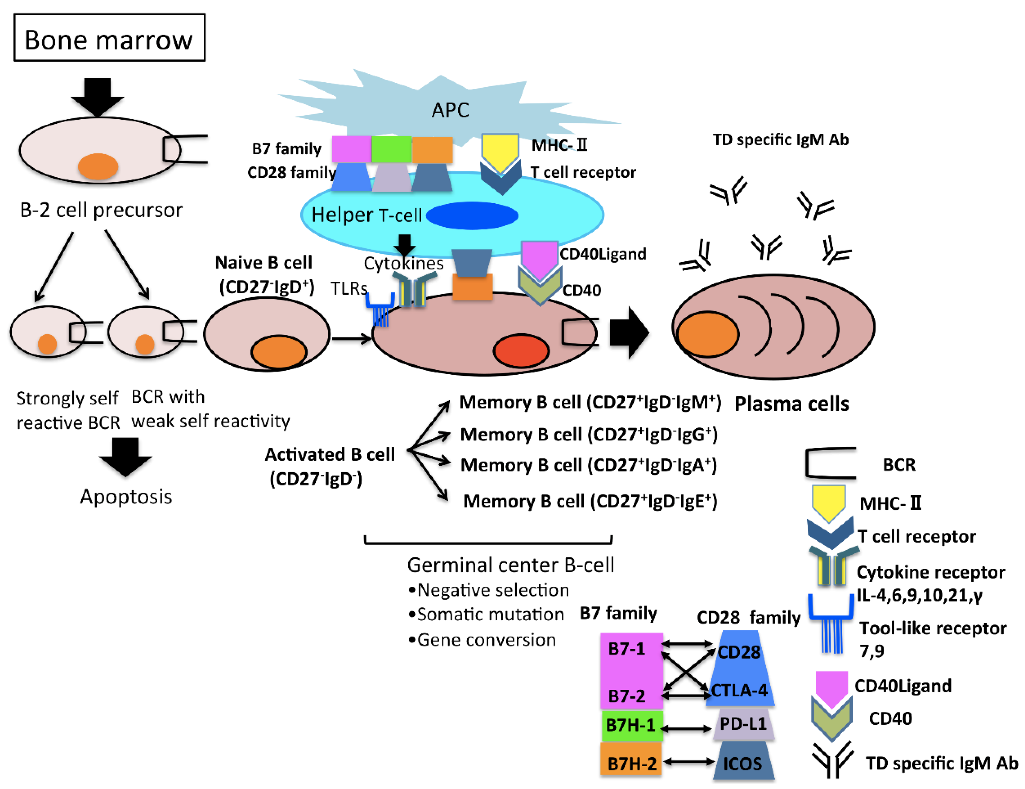 Pathogens 10 00004 g002