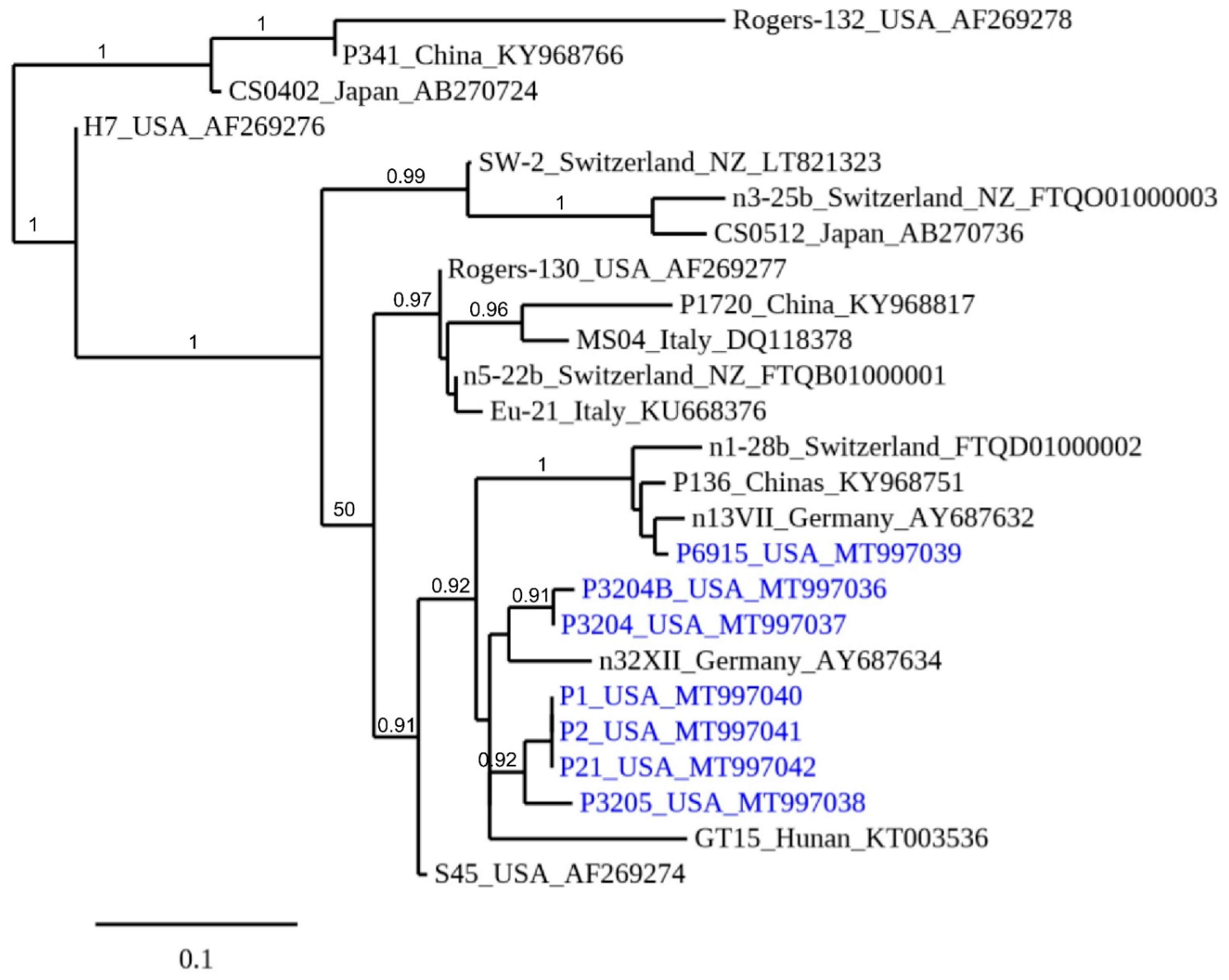 Pathogens 10 00011 g002 Pathogens 10 00011 g002