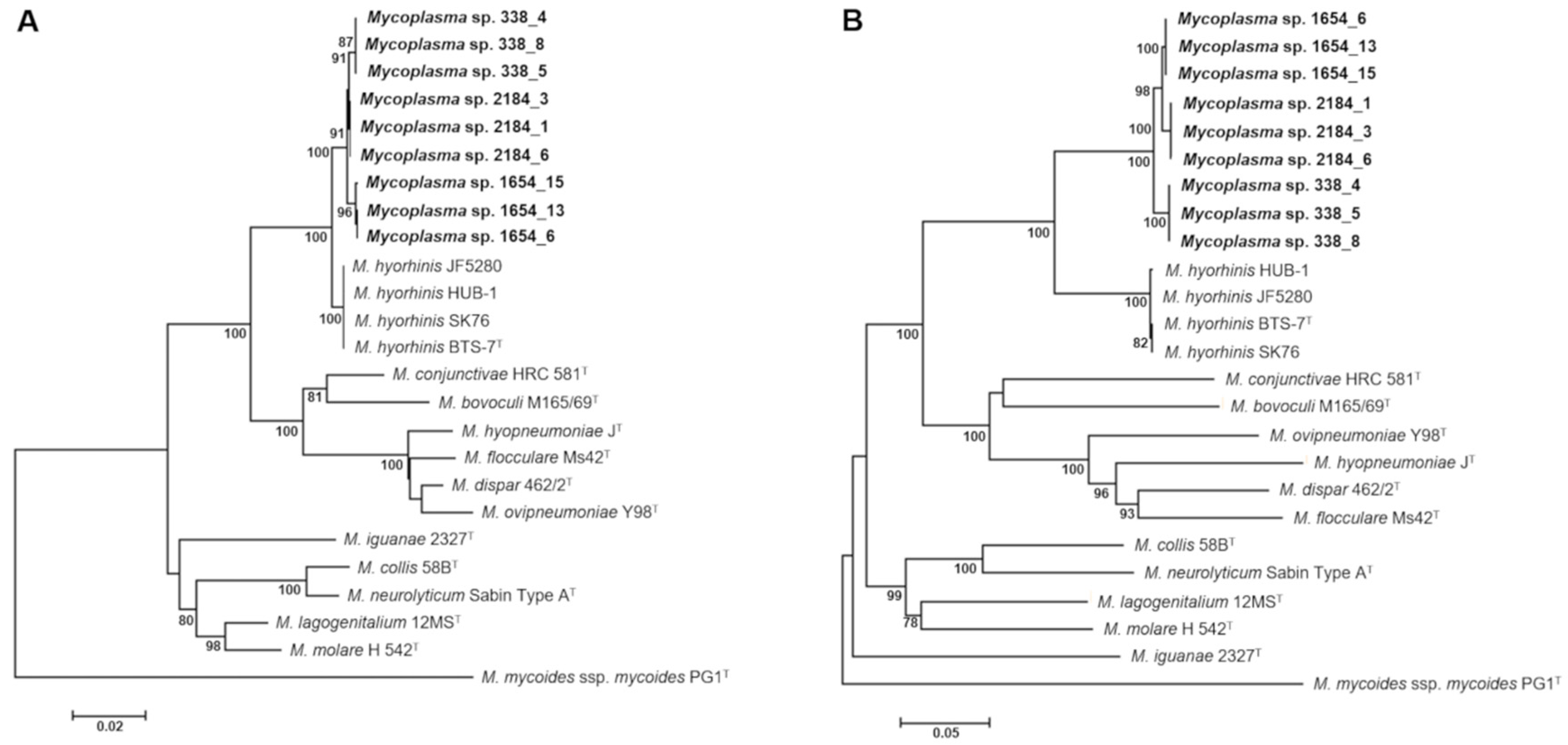Pathogens 10 00013 g005 Pathogens 10 00013 g005