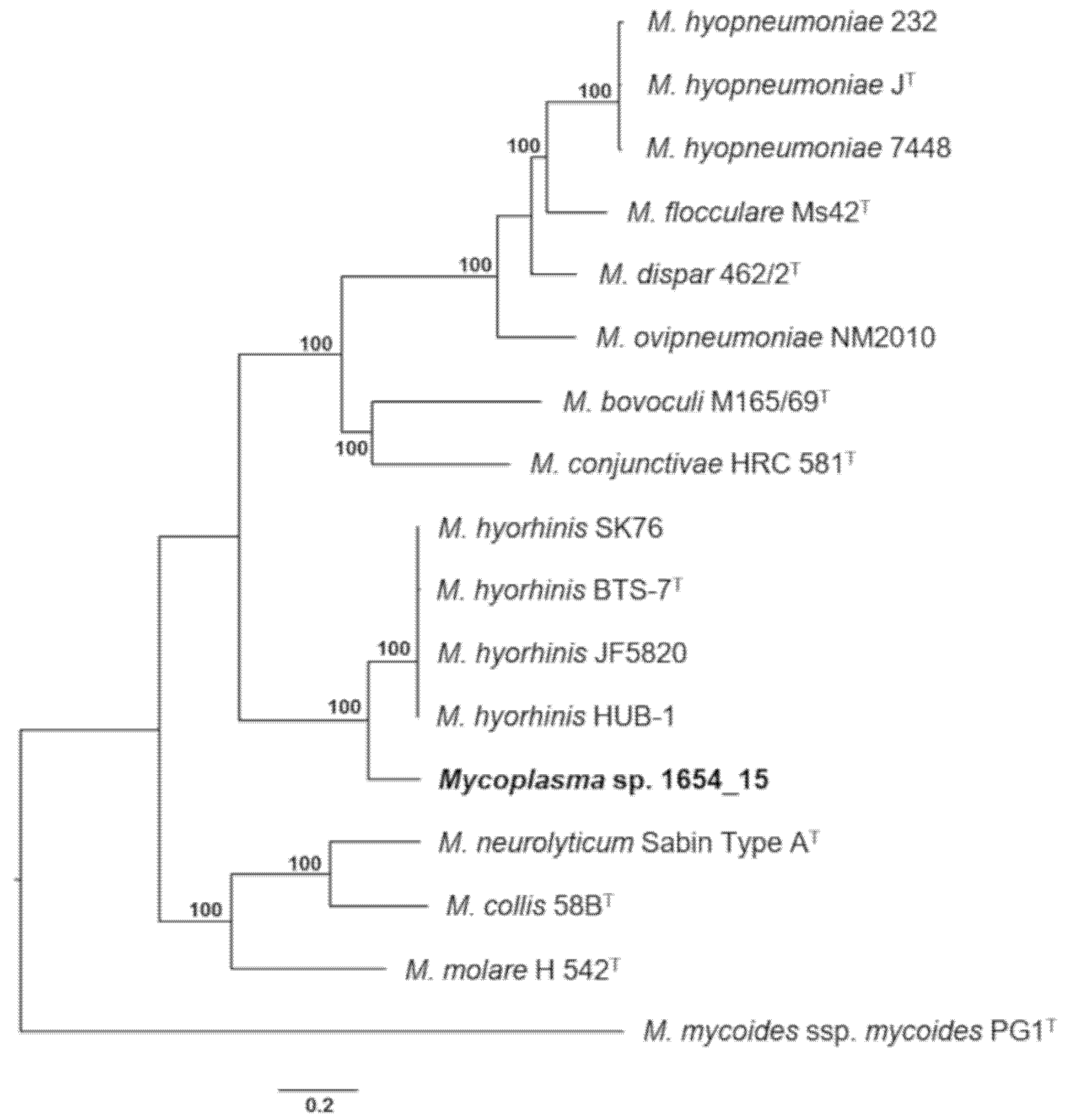 Pathogens 10 00013 g006 Pathogens 10 00013 g006
