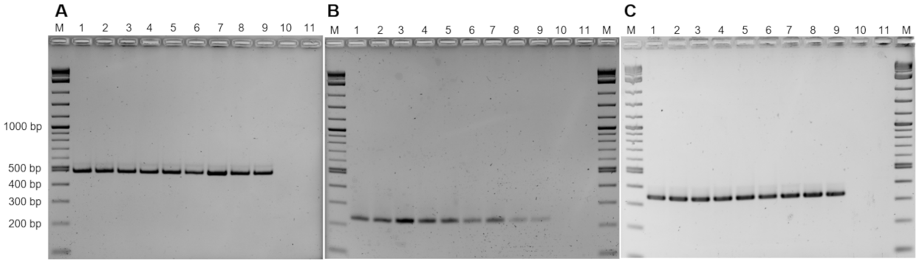 Pathogens 10 00013 g010 Pathogens 10 00013 g010