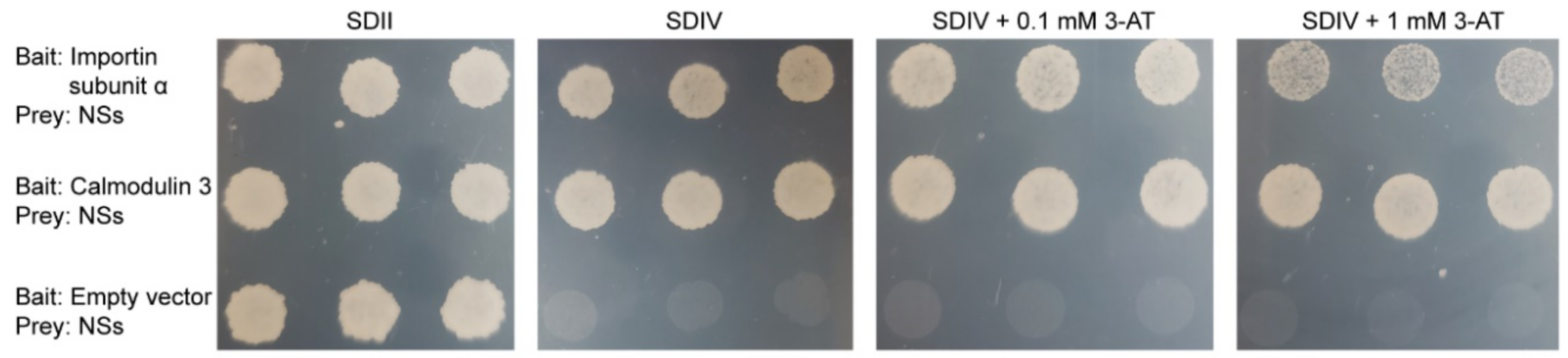 Pathogens 10 00027 g002