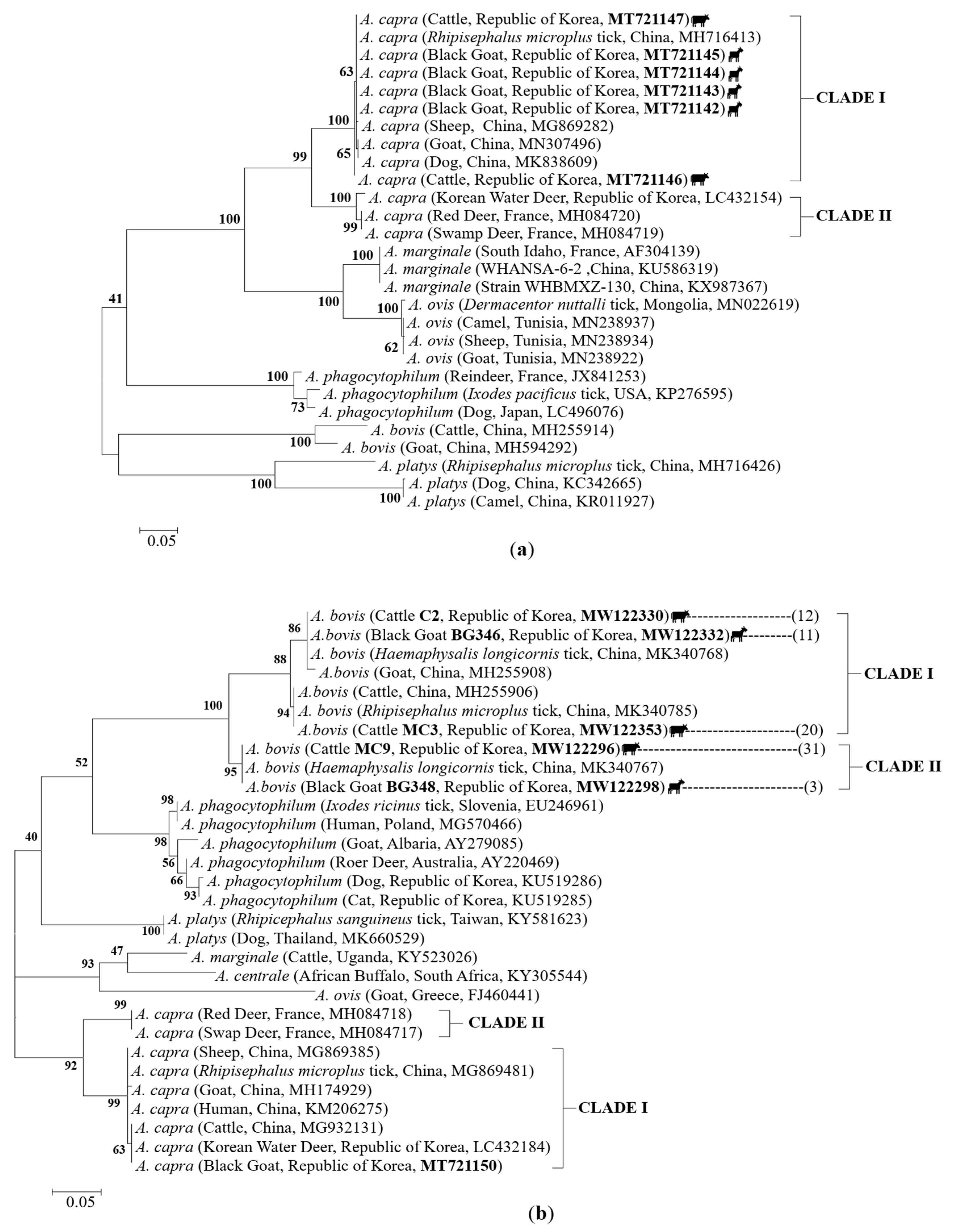 Pathogens 10 00028 g006 Pathogens 10 00028 g006
