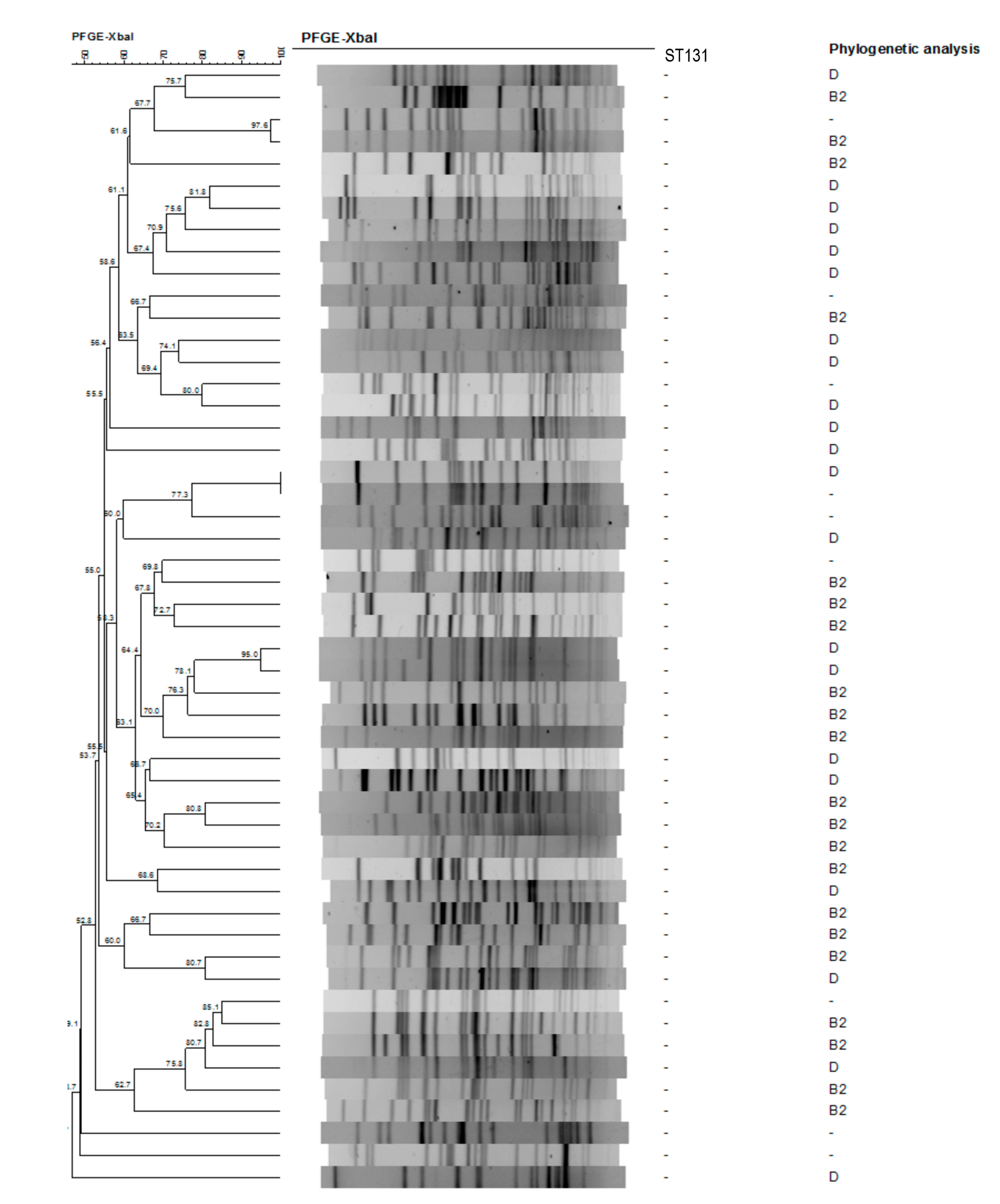 Pathogens 10 00037 g002 Pathogens 10 00037 g002