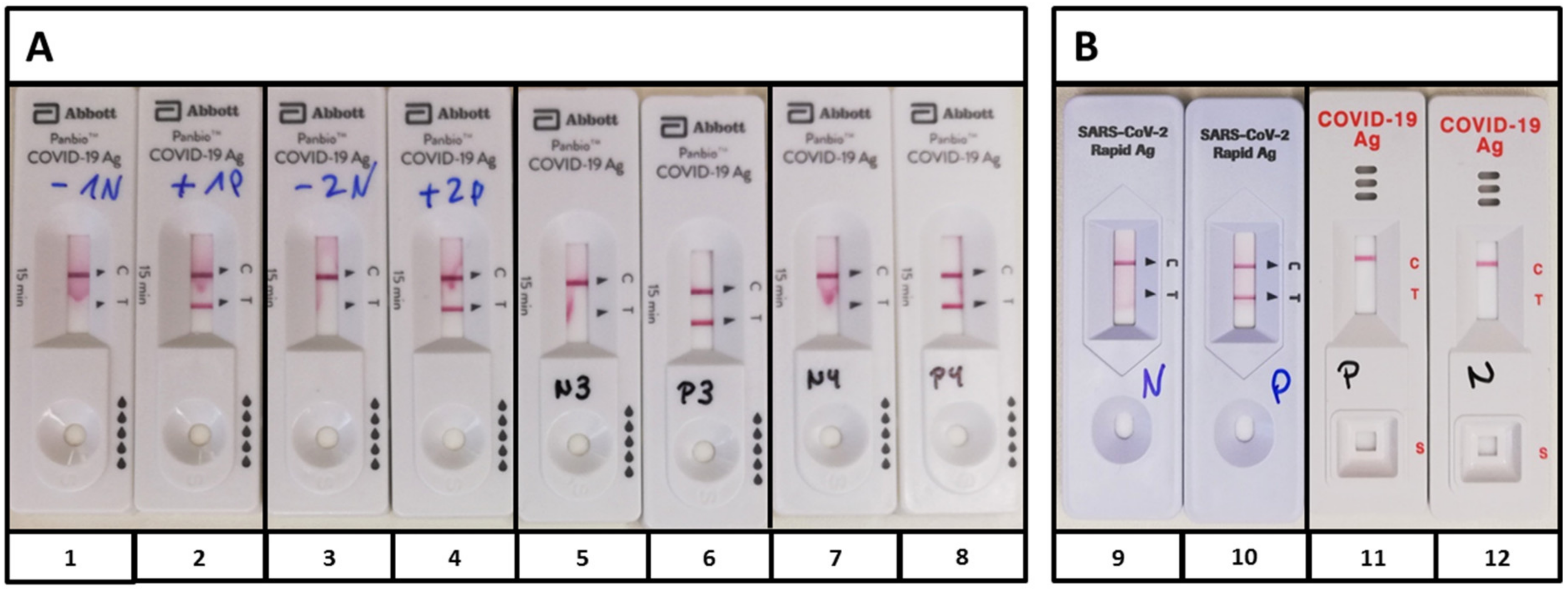 Pathogens 10 00038 g001