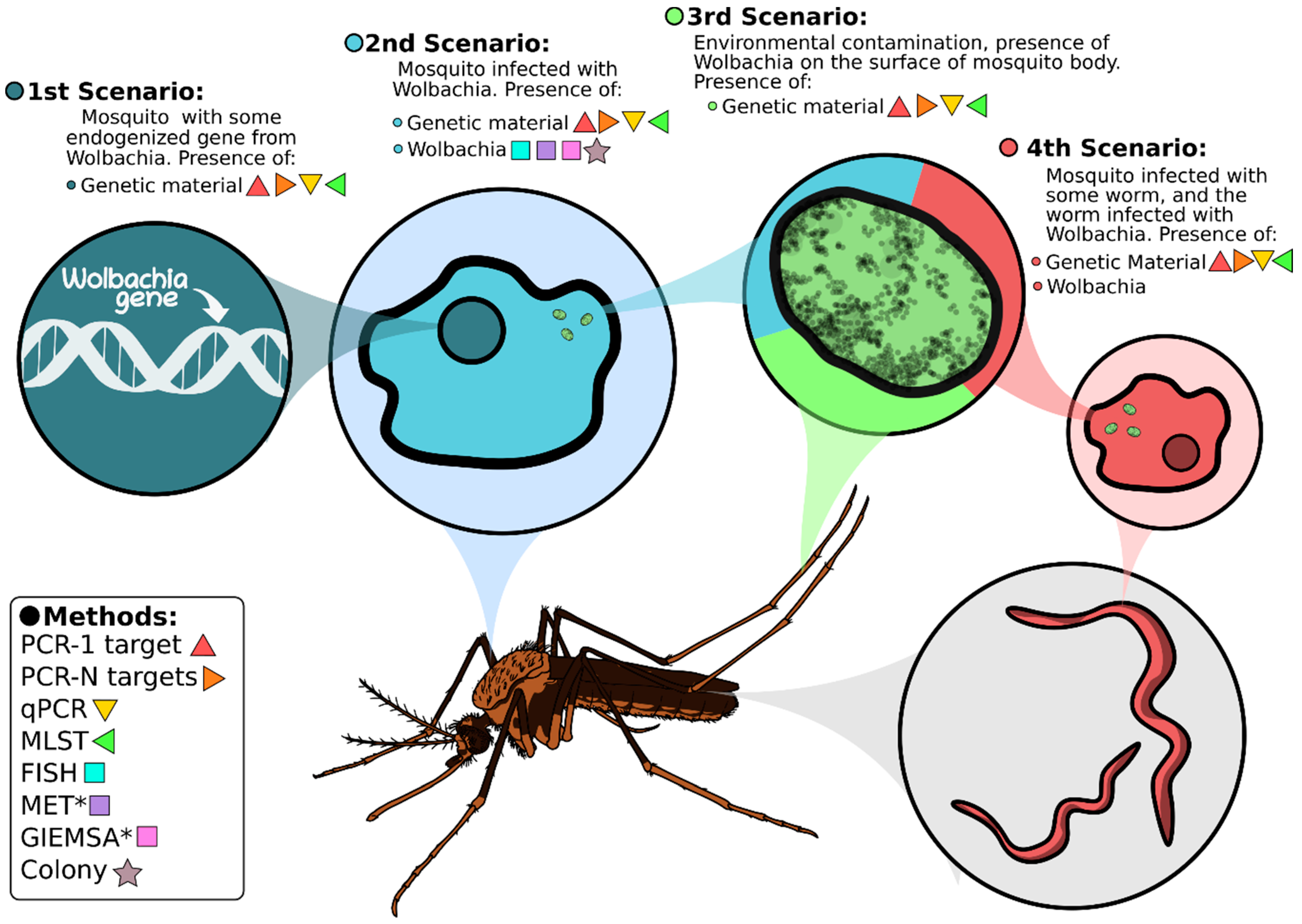 Pathogens 10 00039 g004