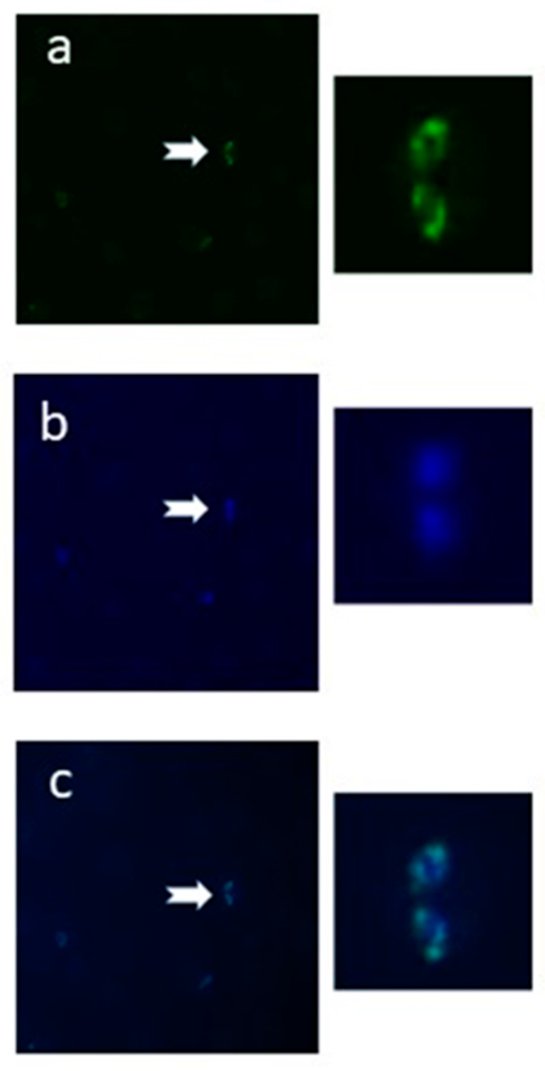 Pathogens 10 00050 g002
