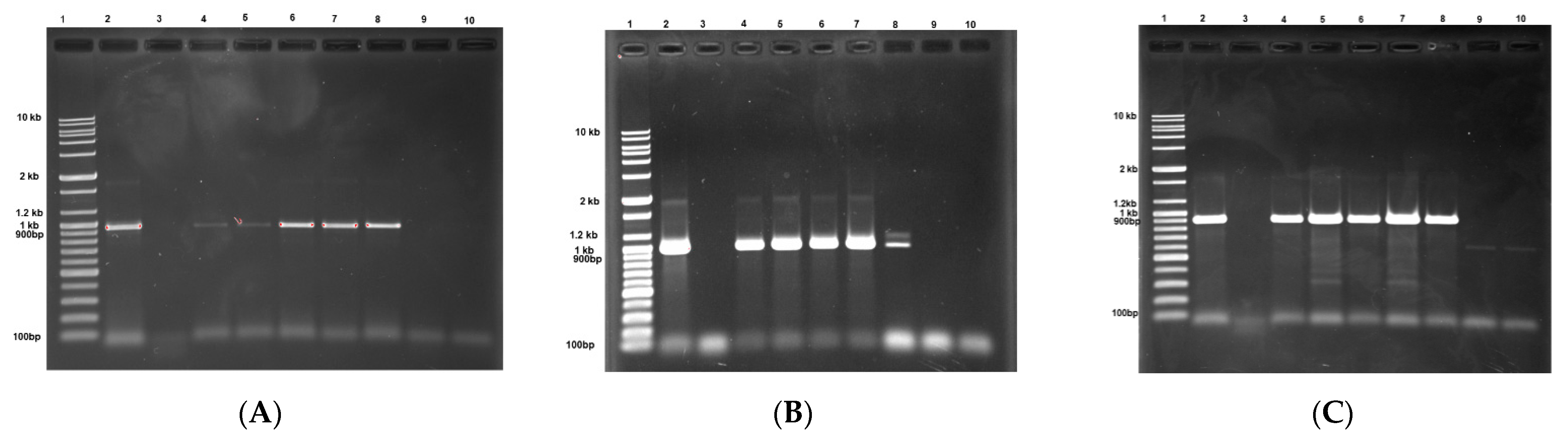 Pathogens 10 00053 g003