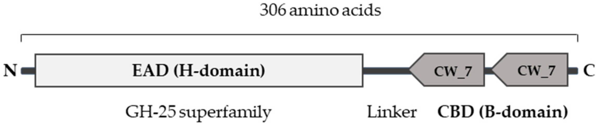 Pathogens 10 00054 g001