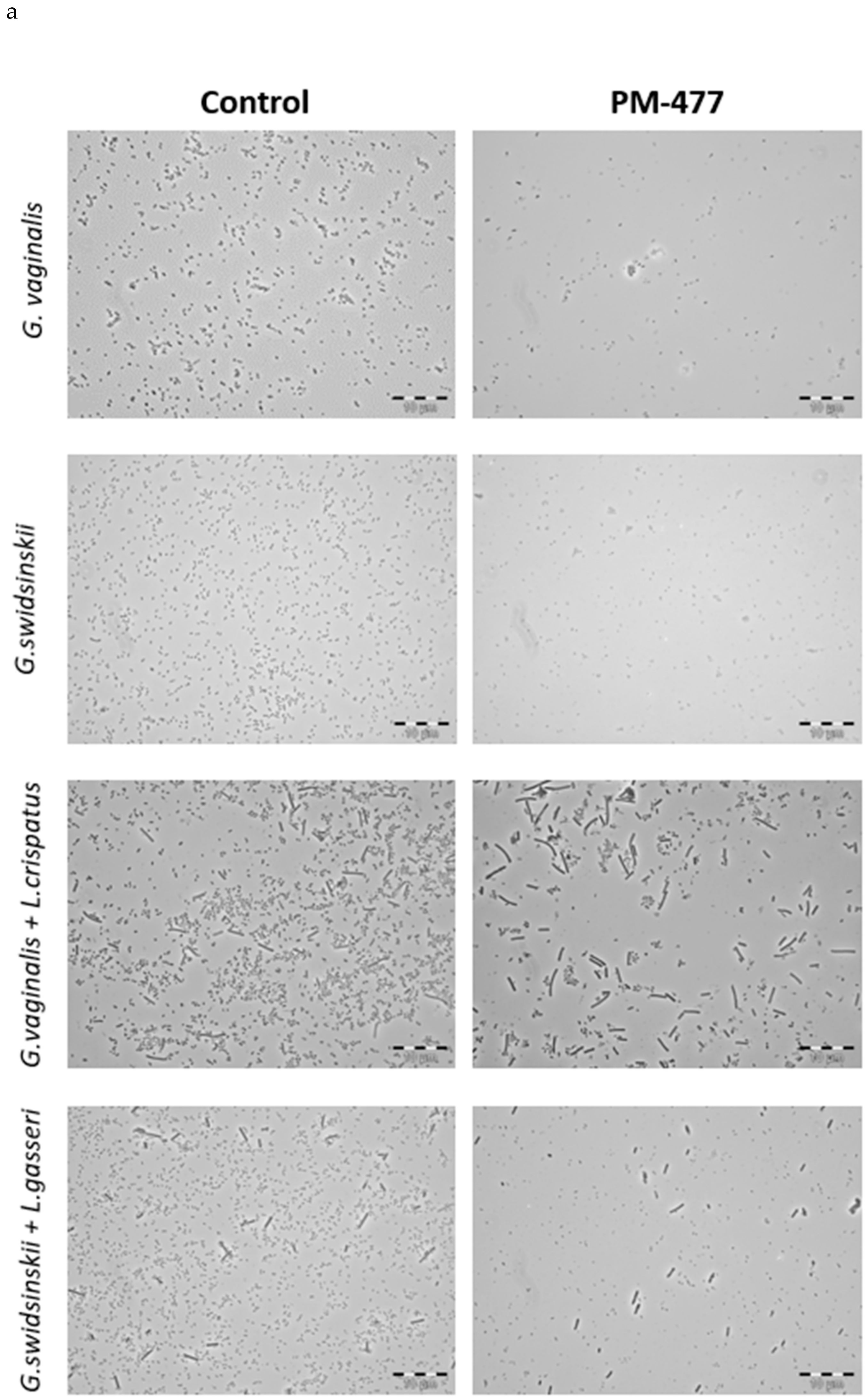 Pathogens 10 00054 g004a