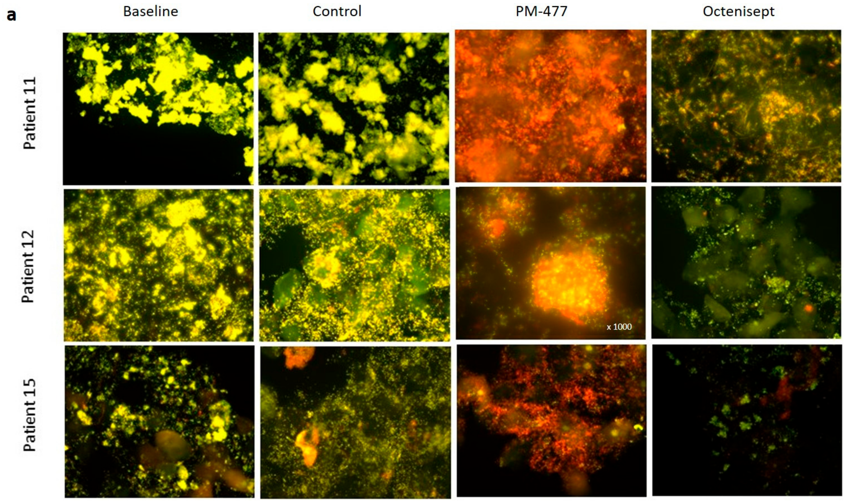 Pathogens 10 00054 g005a
