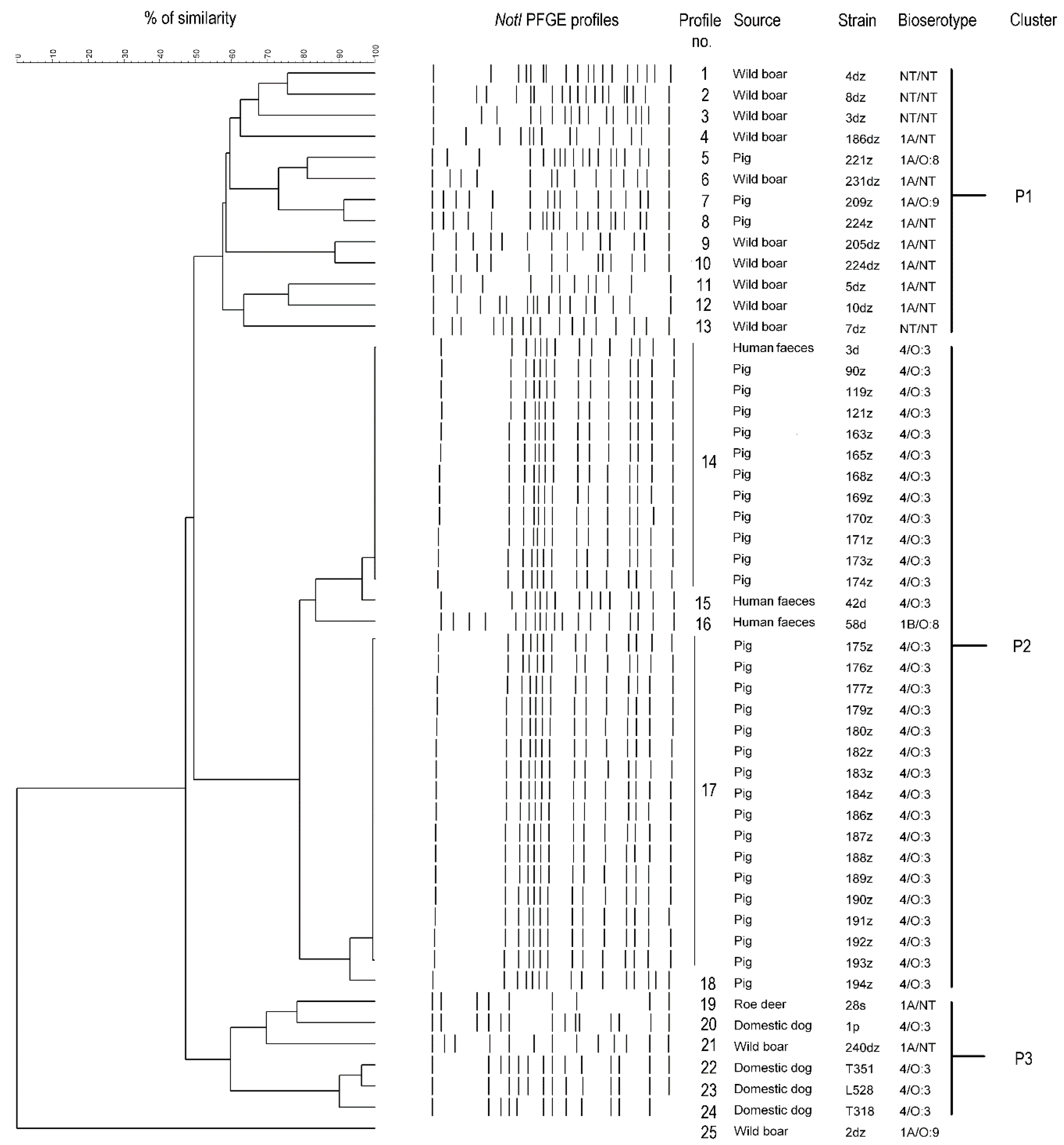 Pathogens 10 00065 g004 Pathogens 10 00065 g004
