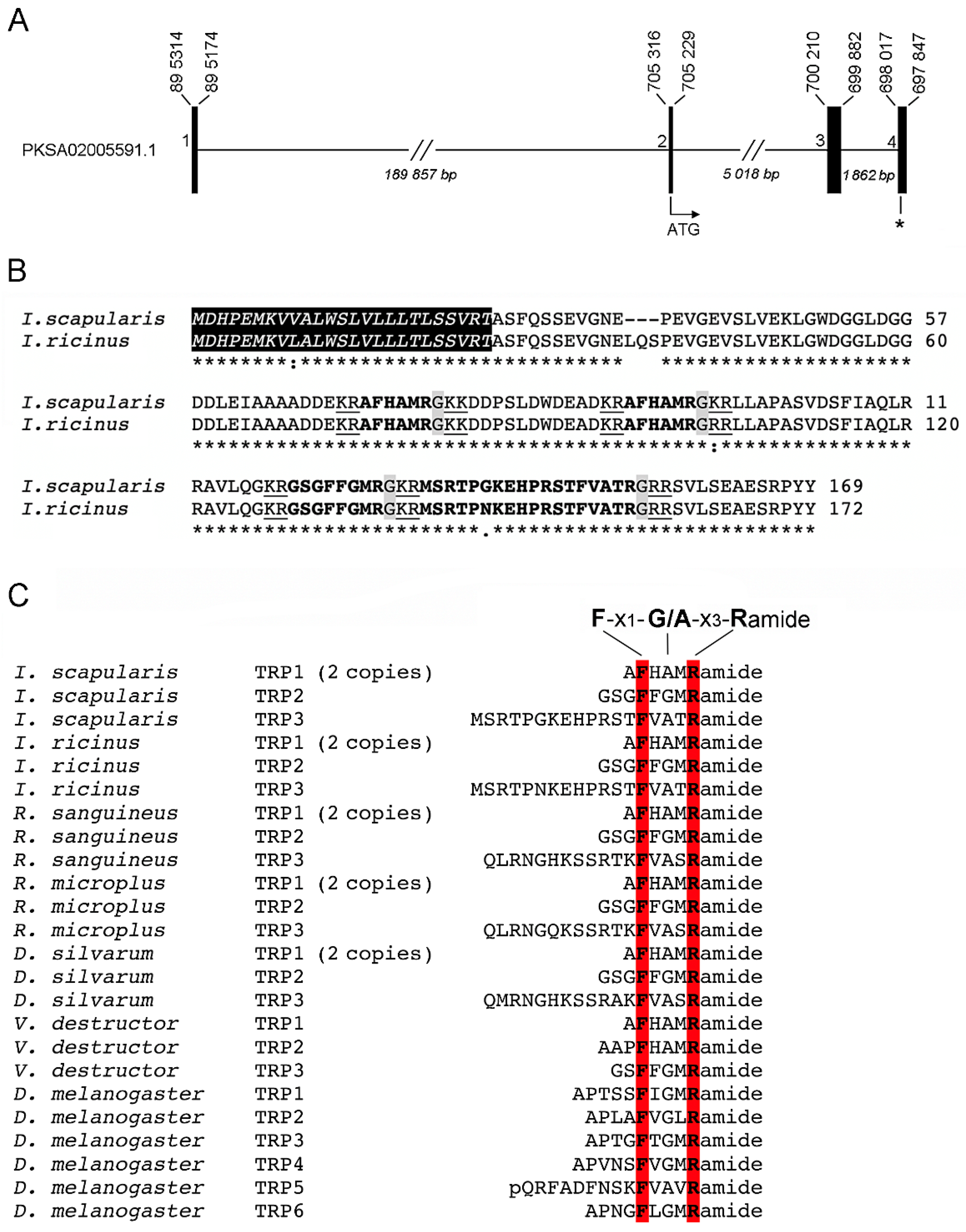 Pathogens 10 00070 g001