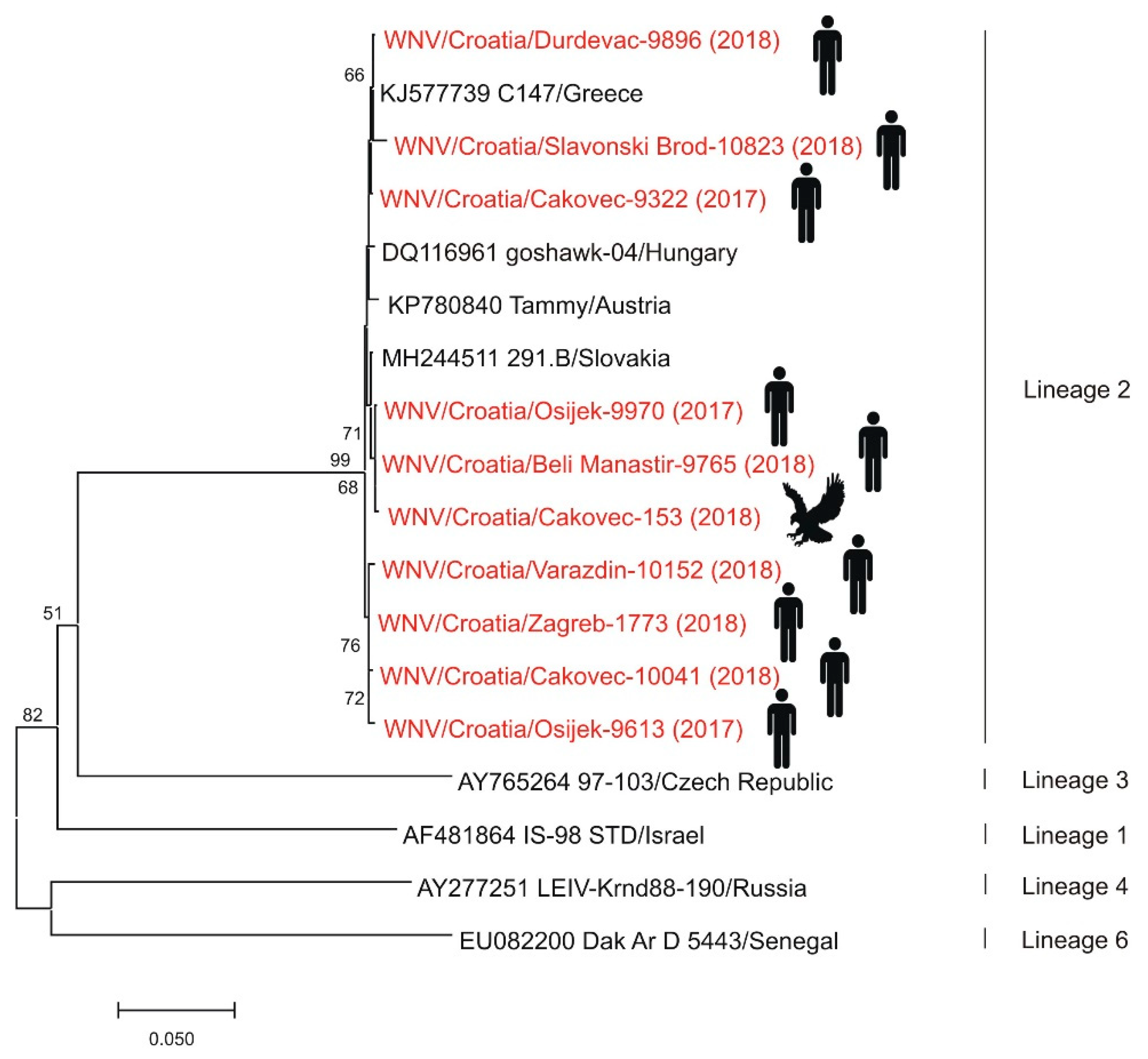 Pathogens 10 00073 g003