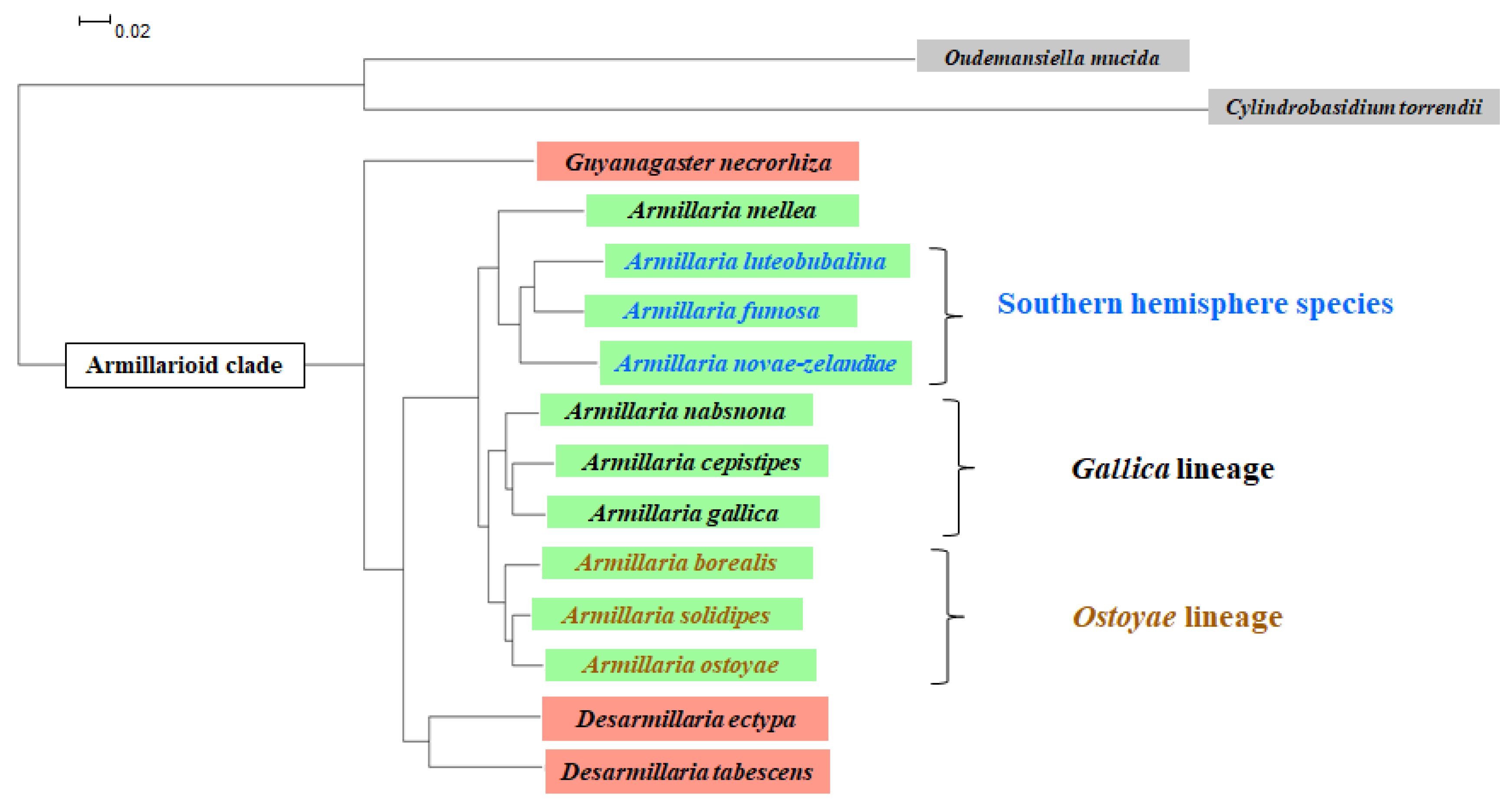 Pathogens 10 00076 g002 Pathogens 10 00076 g002